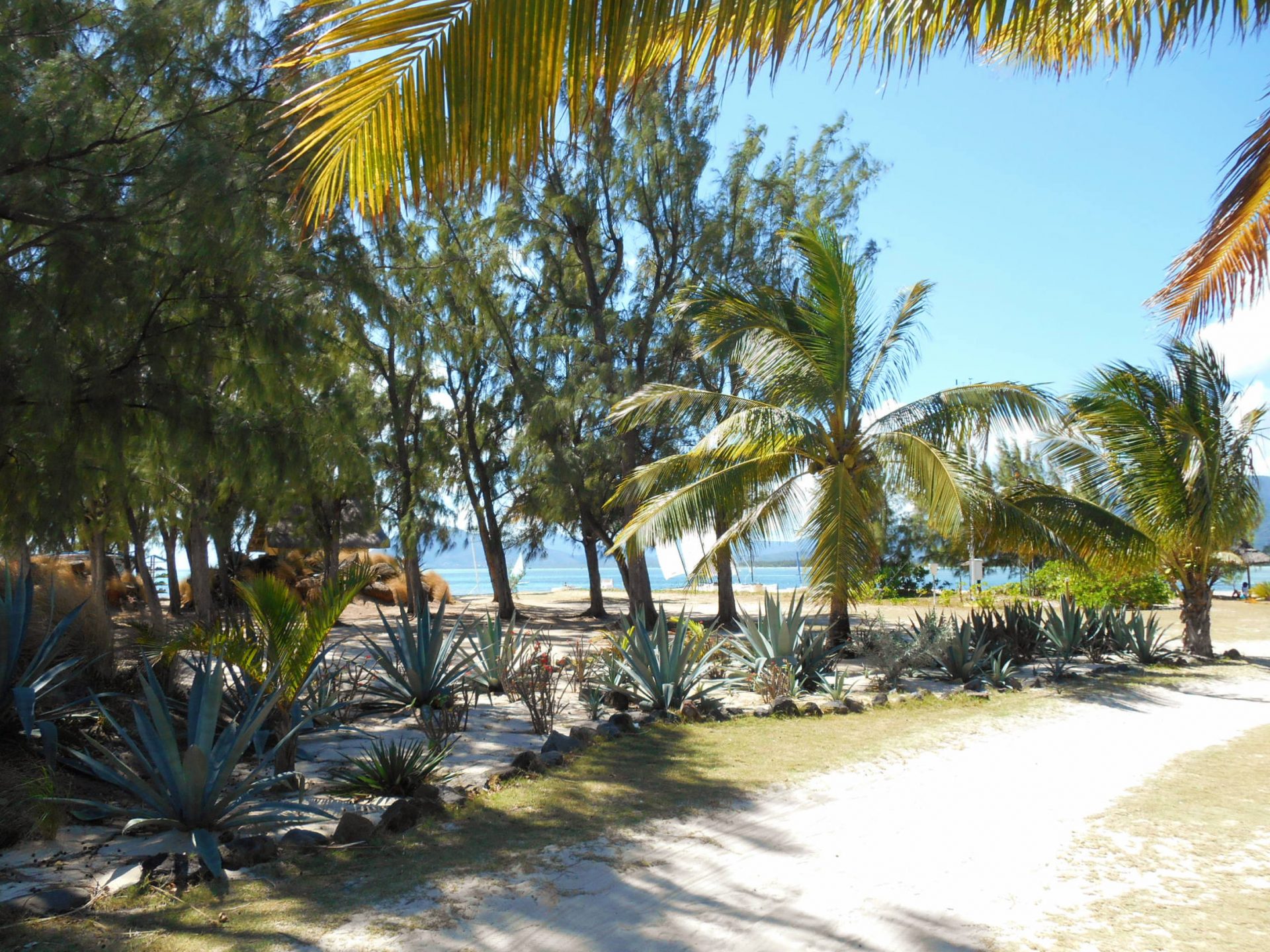 Ile Maurice