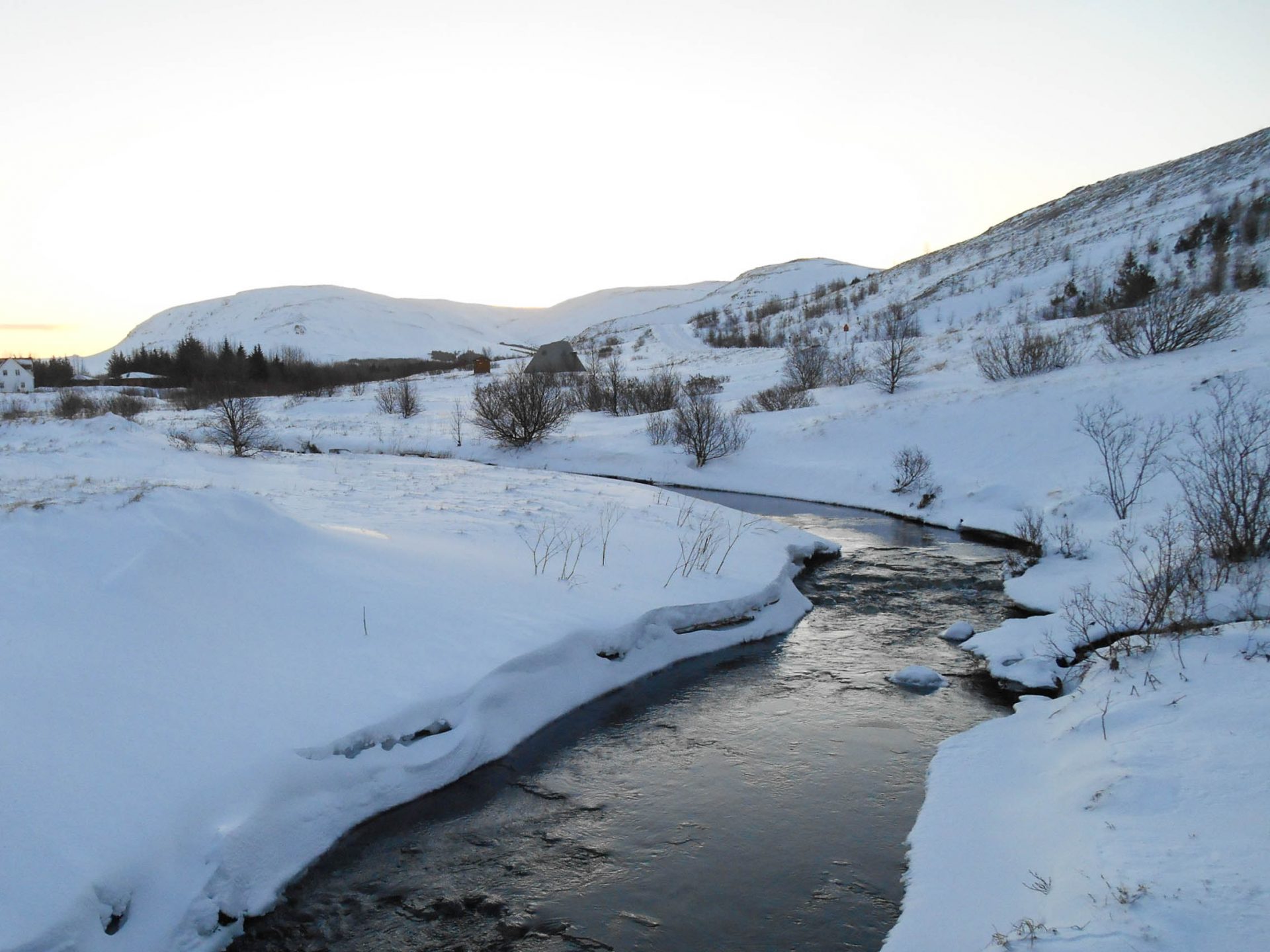 chien traineau seltun blue lagoon (3 sur 50)