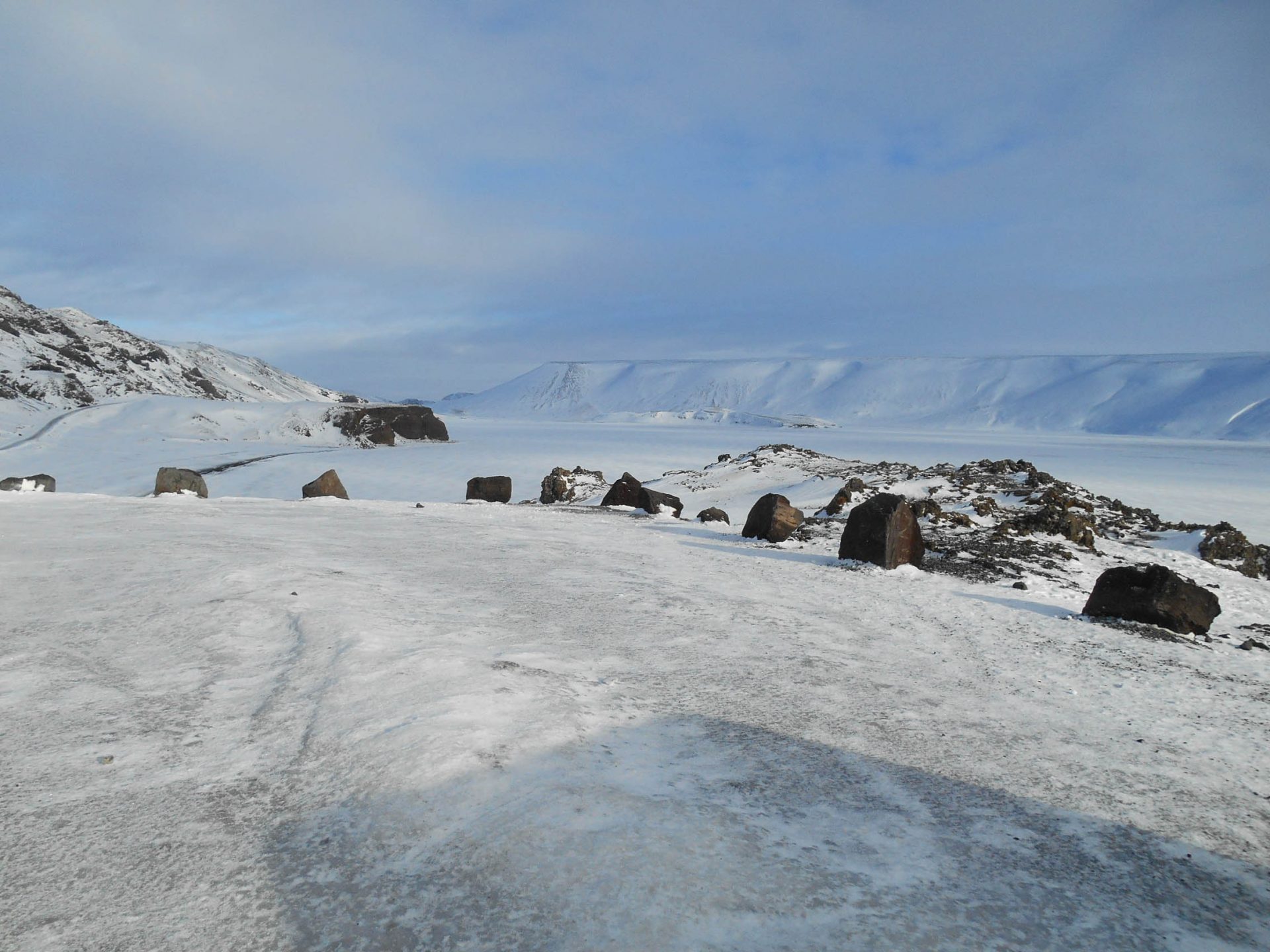 chien traineau seltun blue lagoon (31 sur 50)