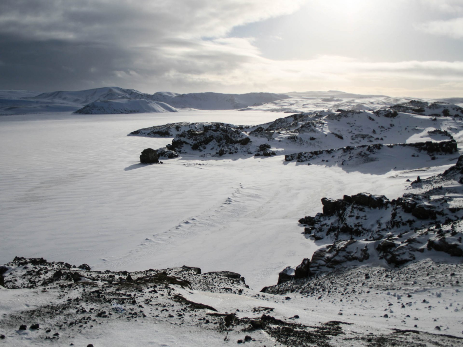 chien traineau seltun blue lagoon (32 sur 50)