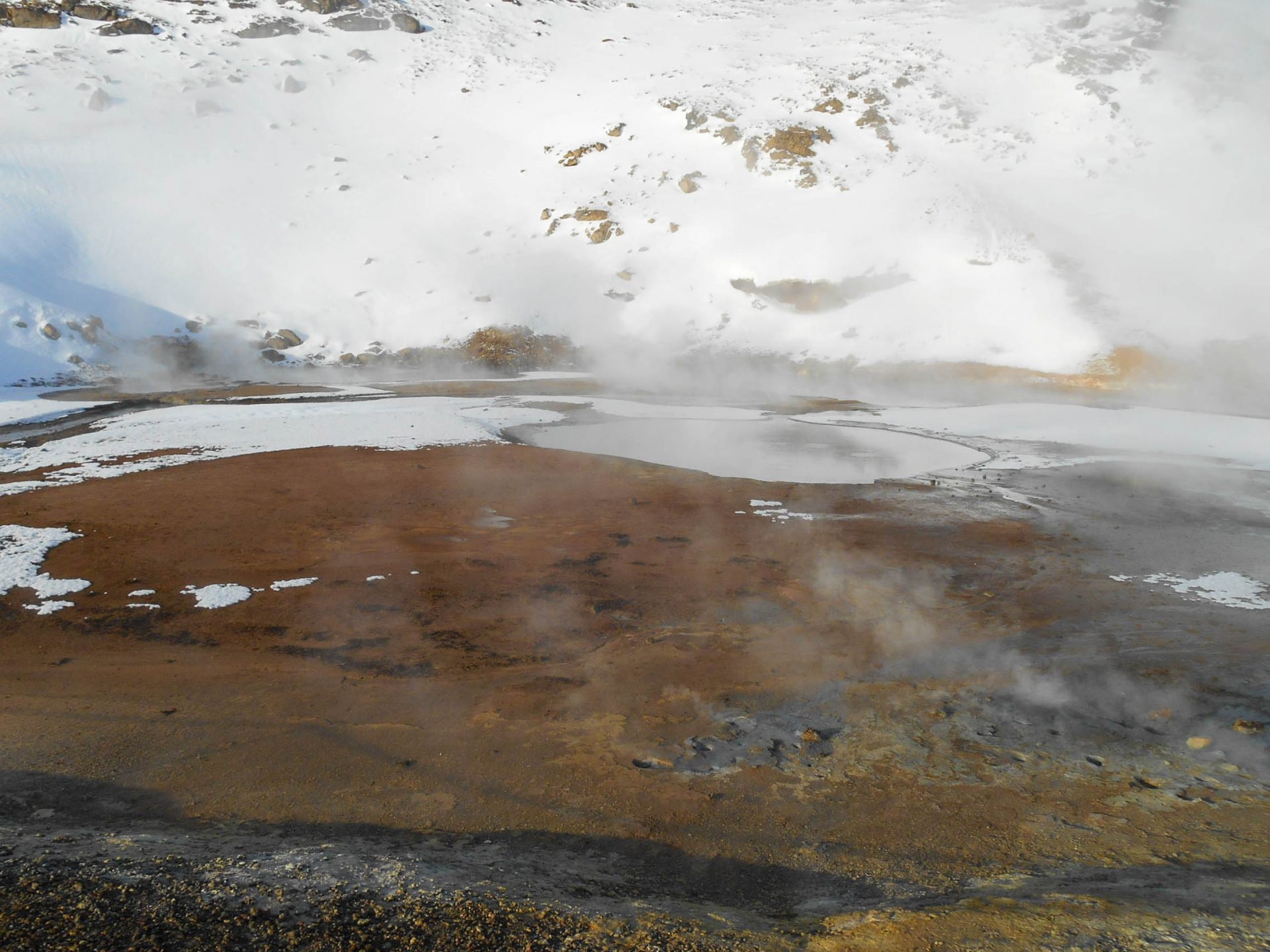 chien traineau seltun blue lagoon (36 sur 50)