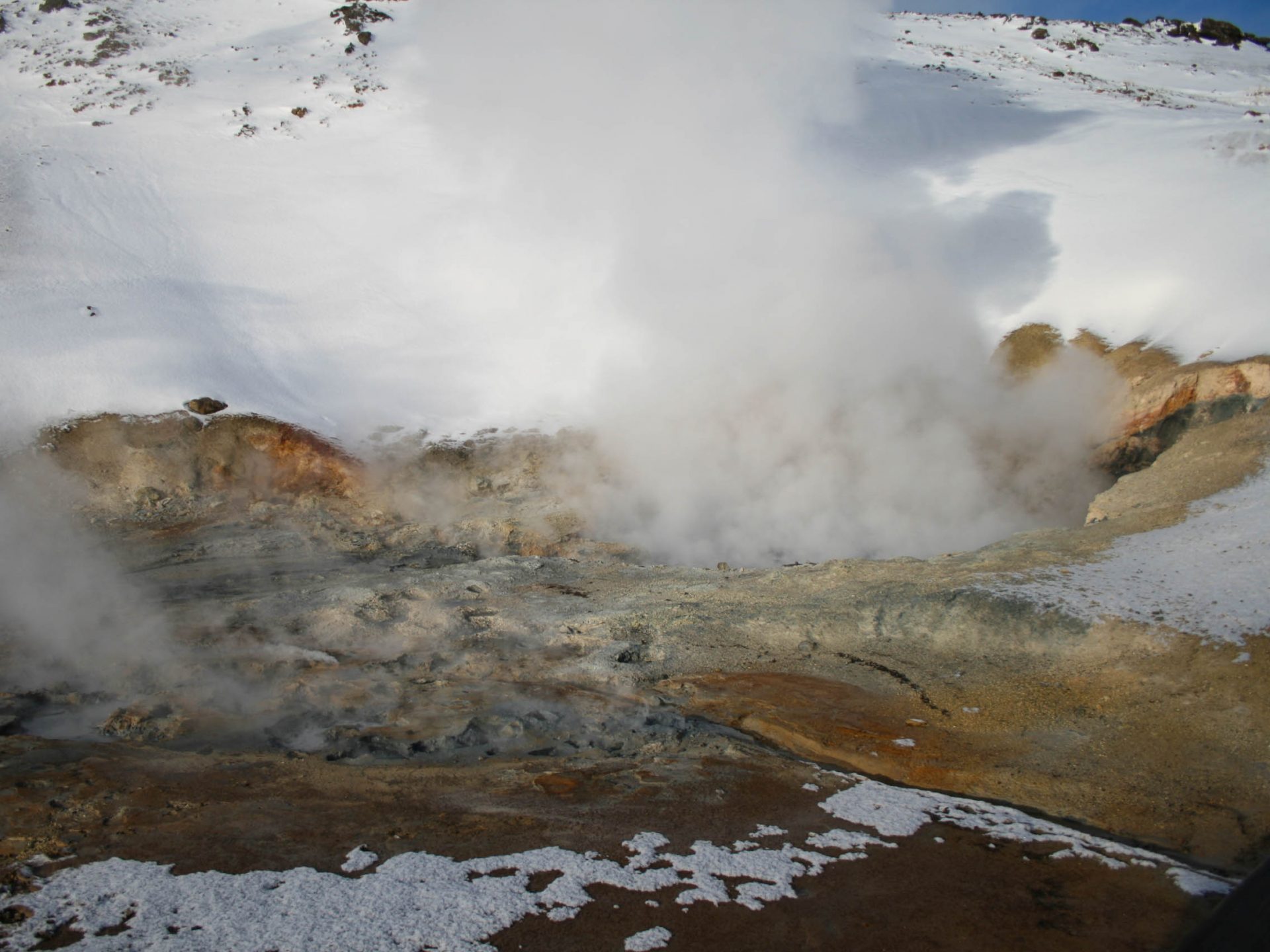 chien traineau seltun blue lagoon (37 sur 50)