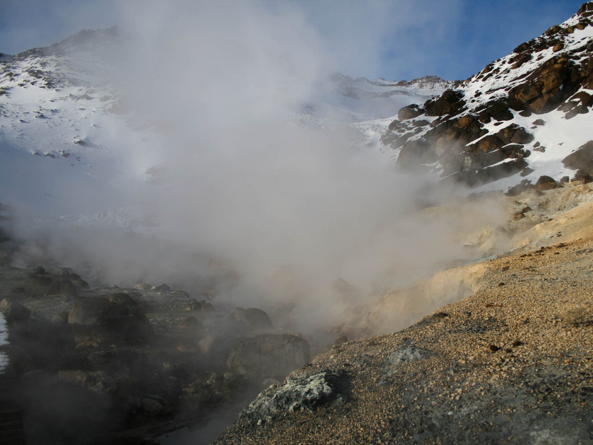 chien traineau seltun blue lagoon (40 sur 50)