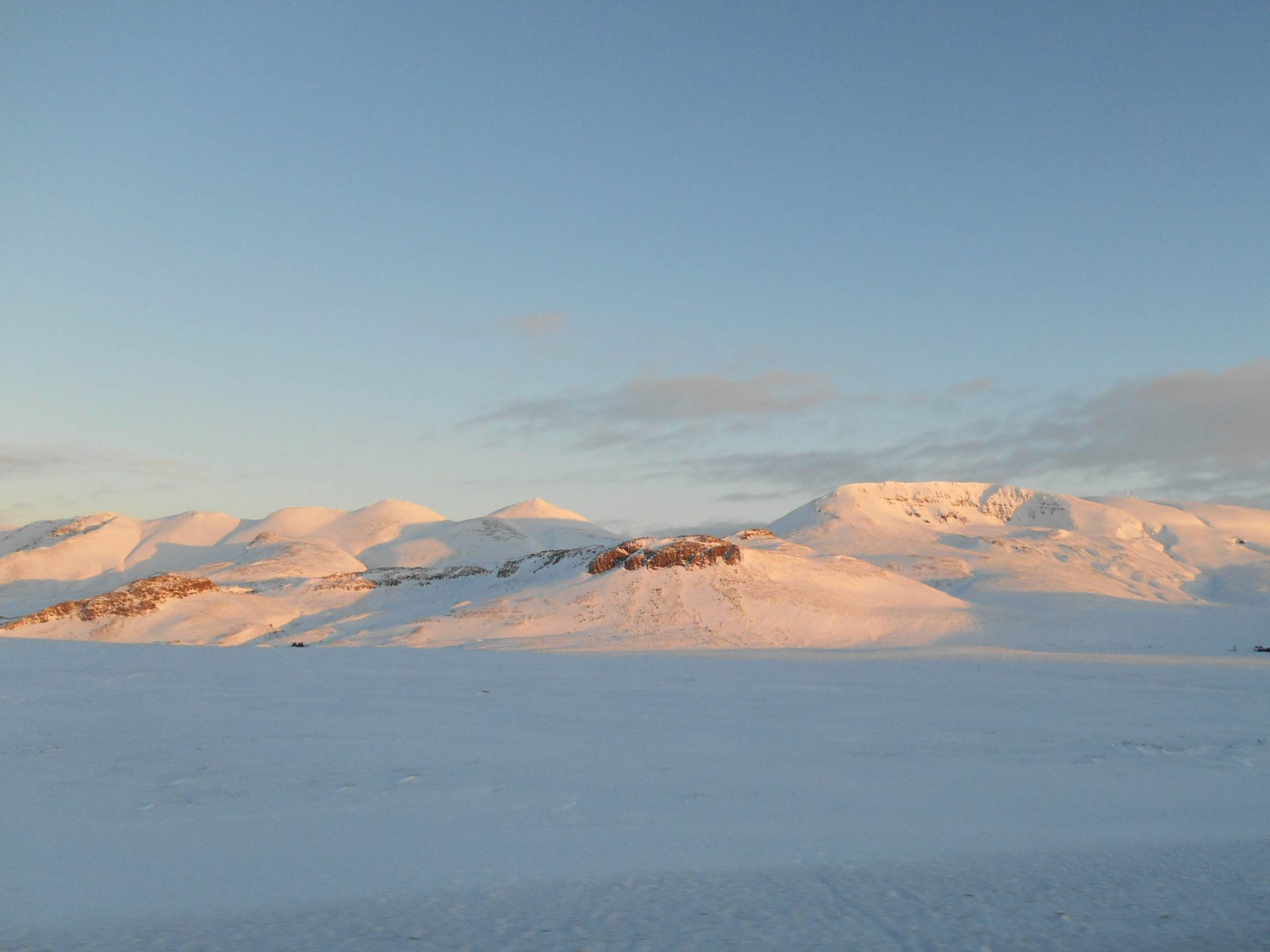 chien traineau seltun blue lagoon (5 sur 50)