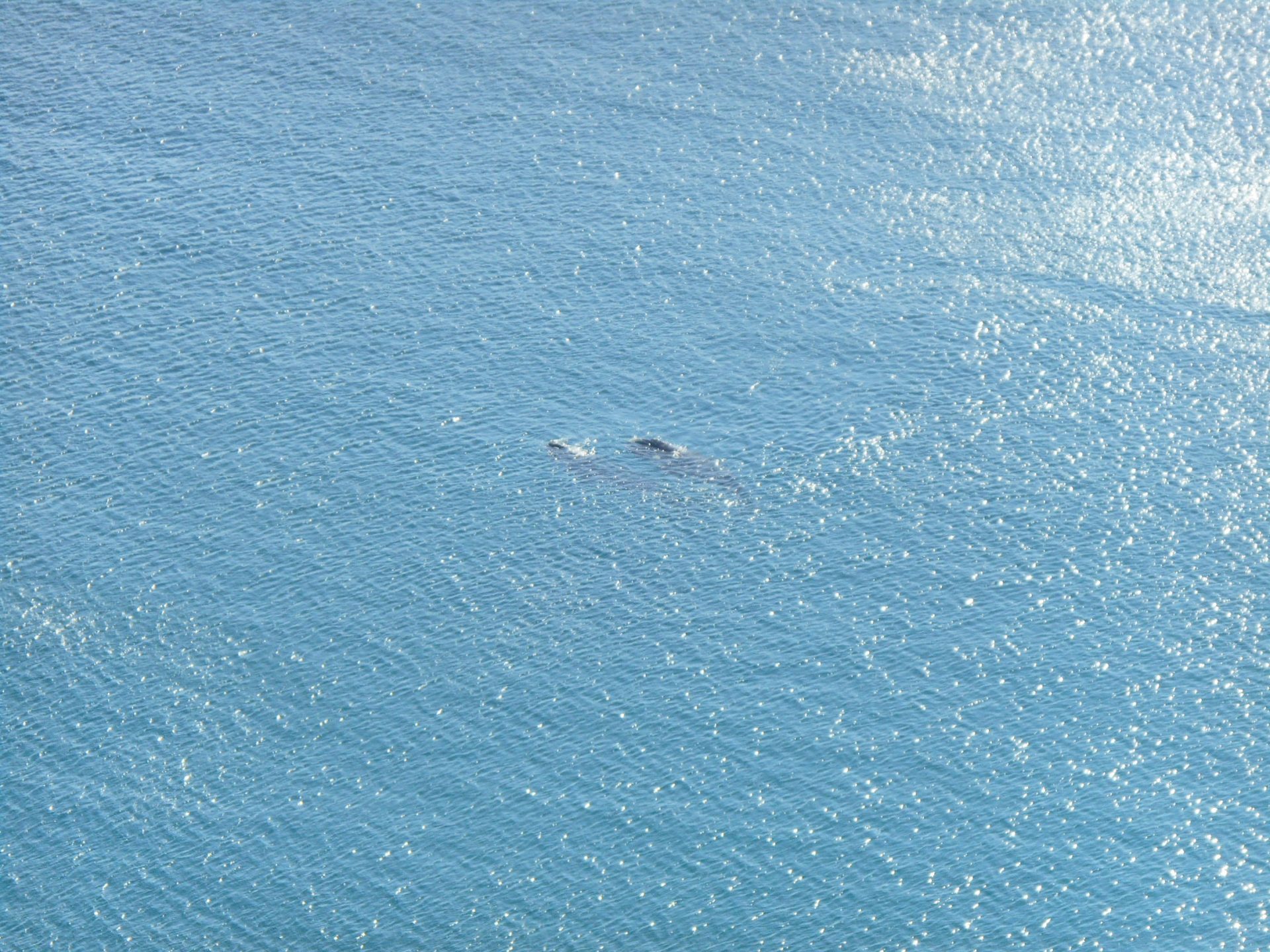 cap de Bonne-Espérance