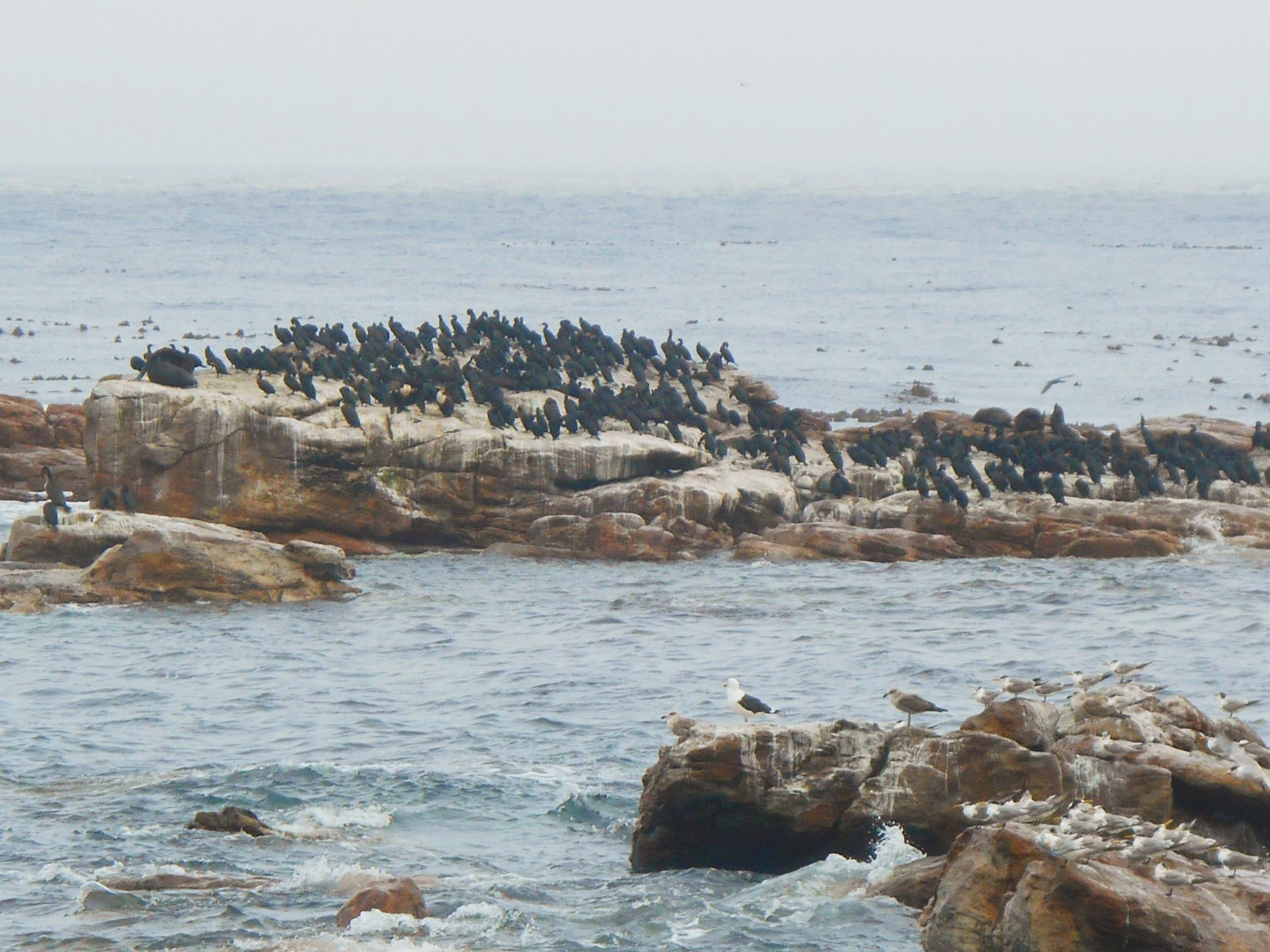 cap de Bonne-Espérance