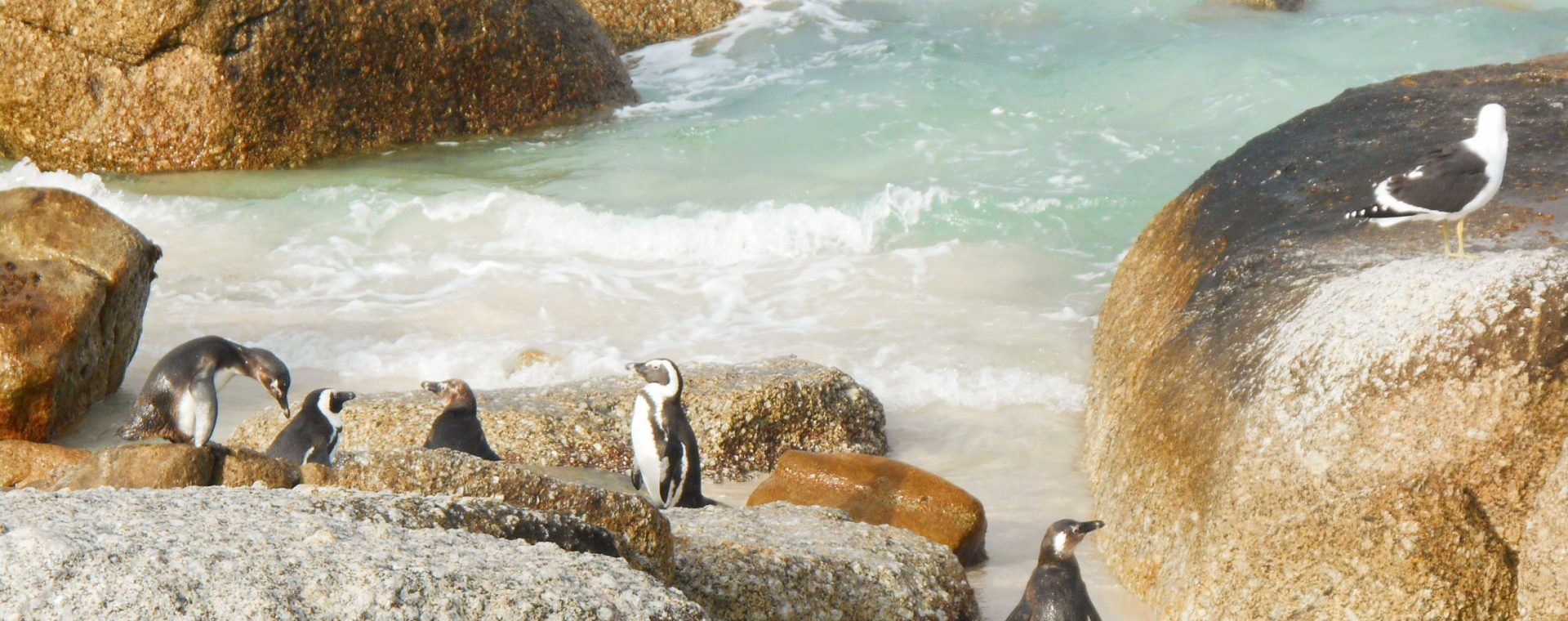 cap de Bonne-Espérance