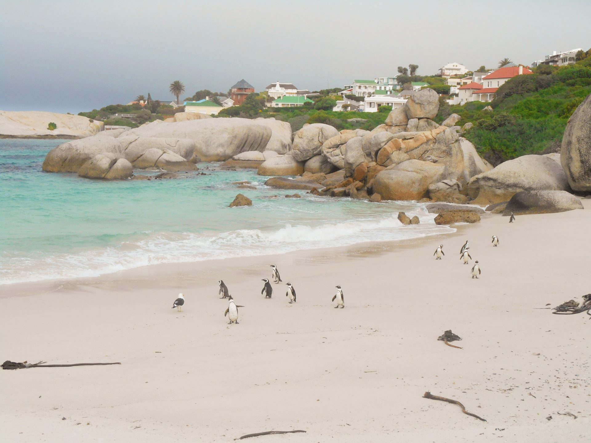 cap de Bonne-Espérance