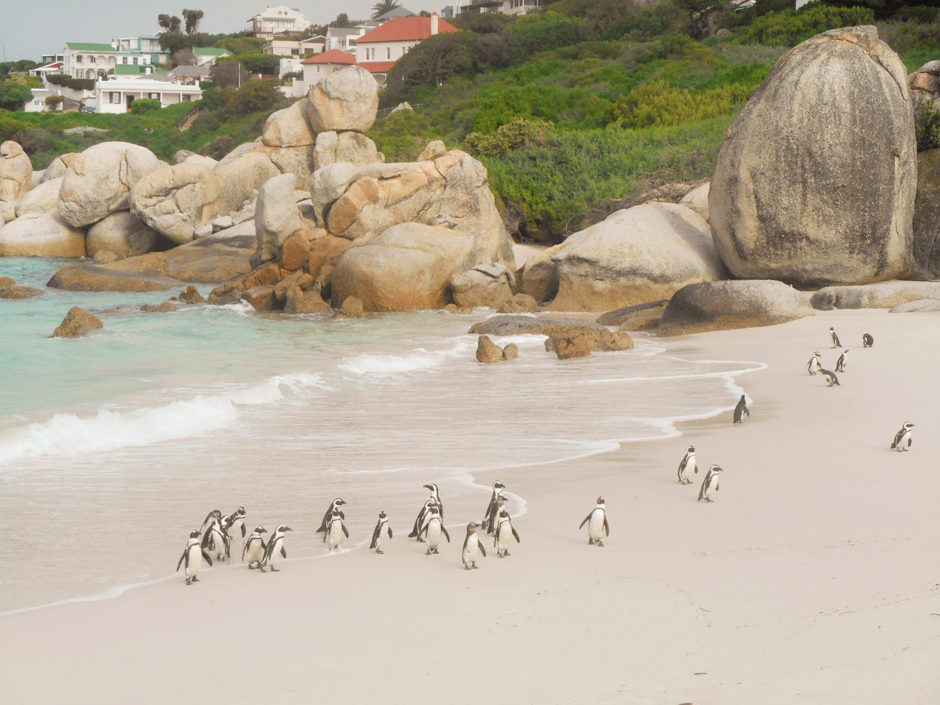 cap de Bonne-Espérance