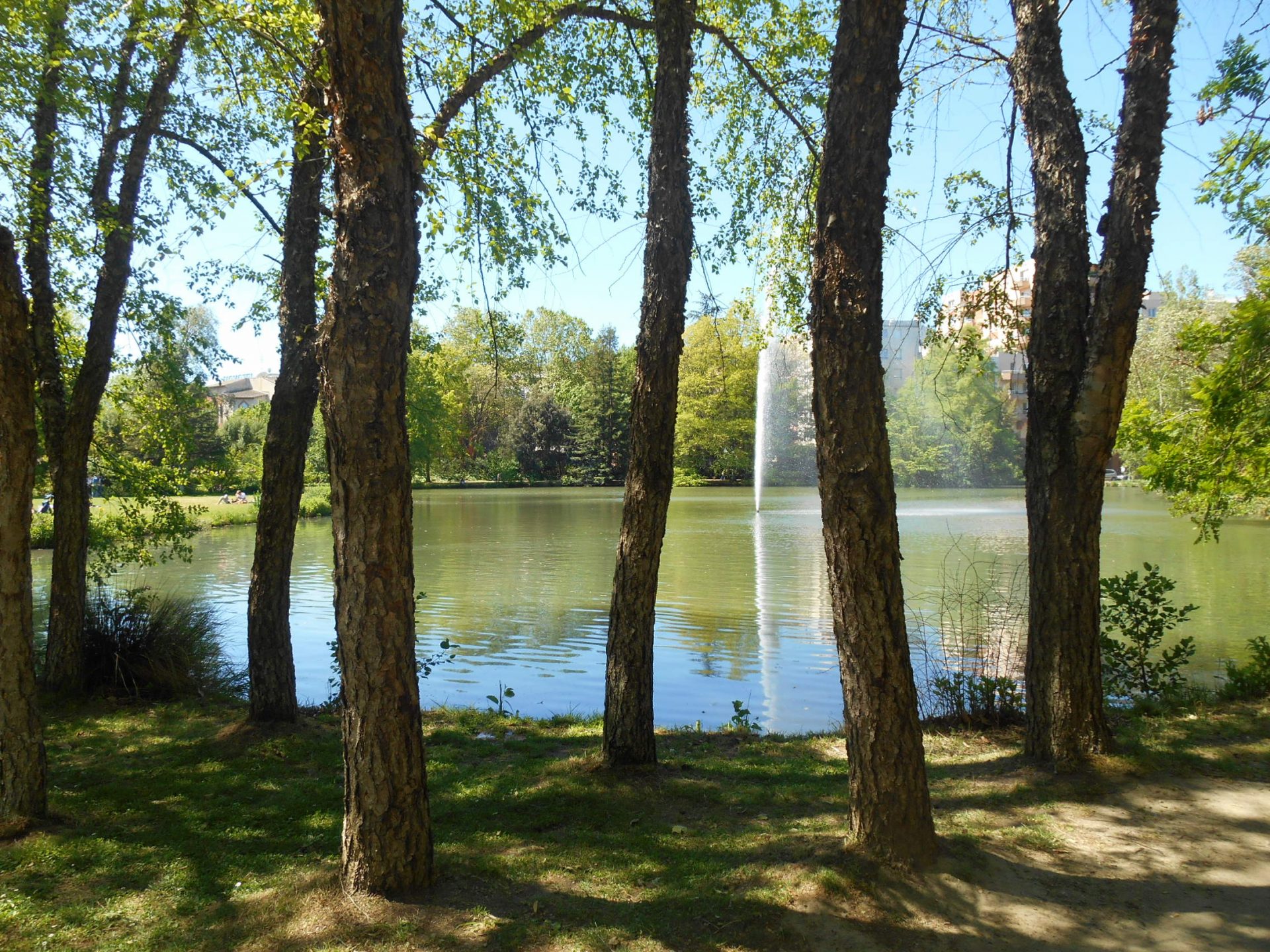 jardin japonais de toulouse