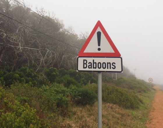 cap de Bonne-Espérance