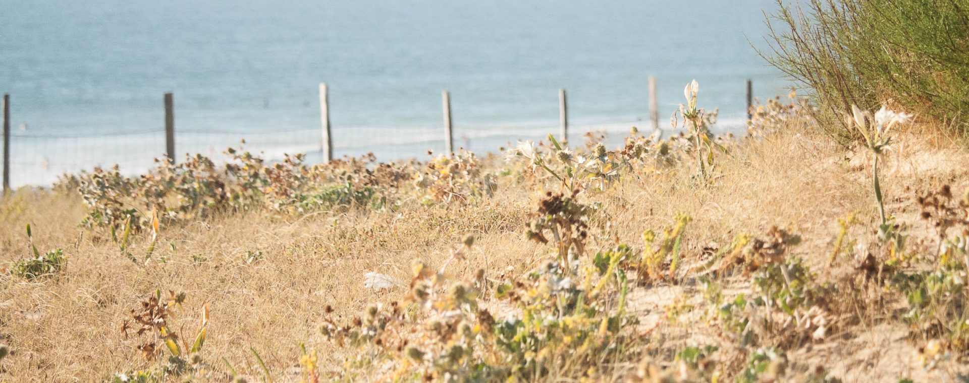 doux air de vacances