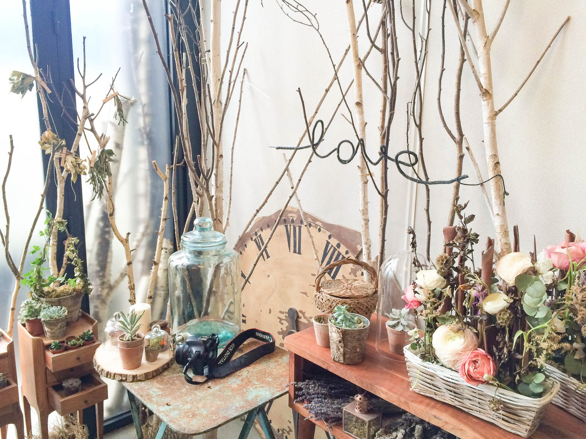 poppy figue (1 sur 1)