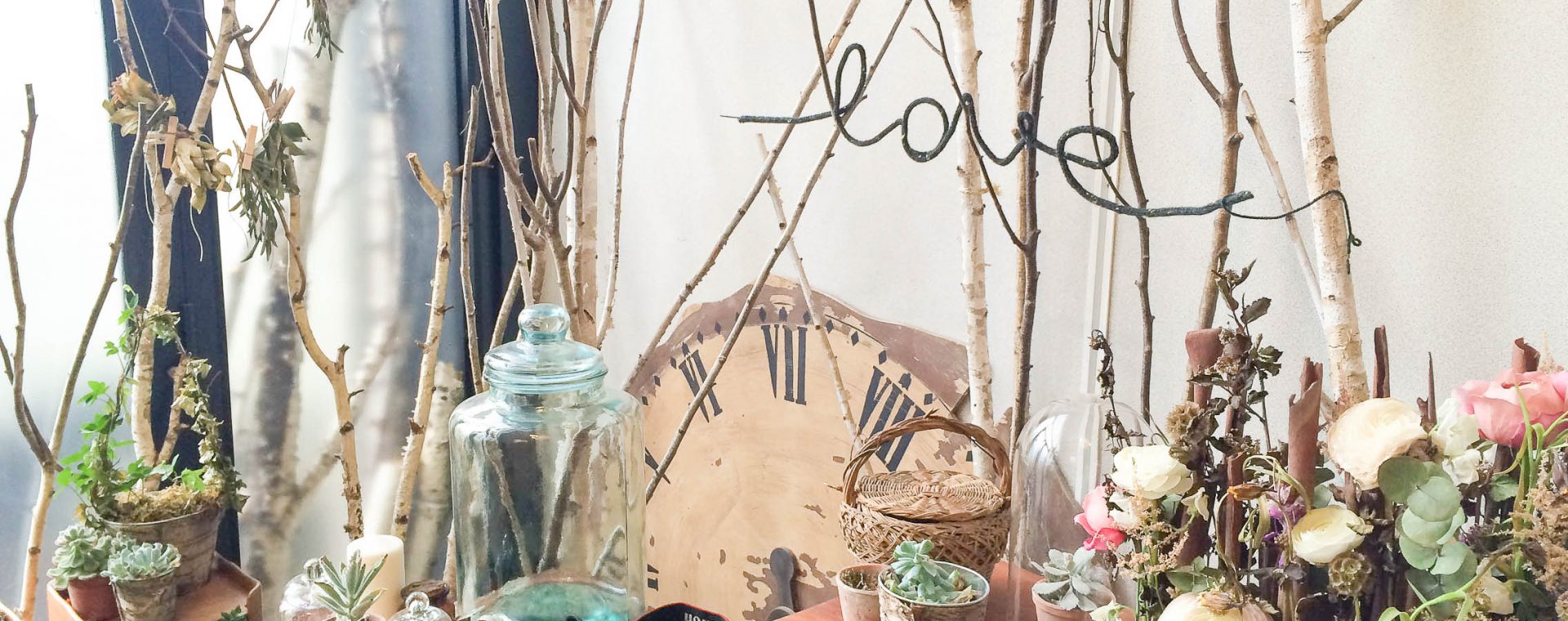 poppy figue (1 sur 1)