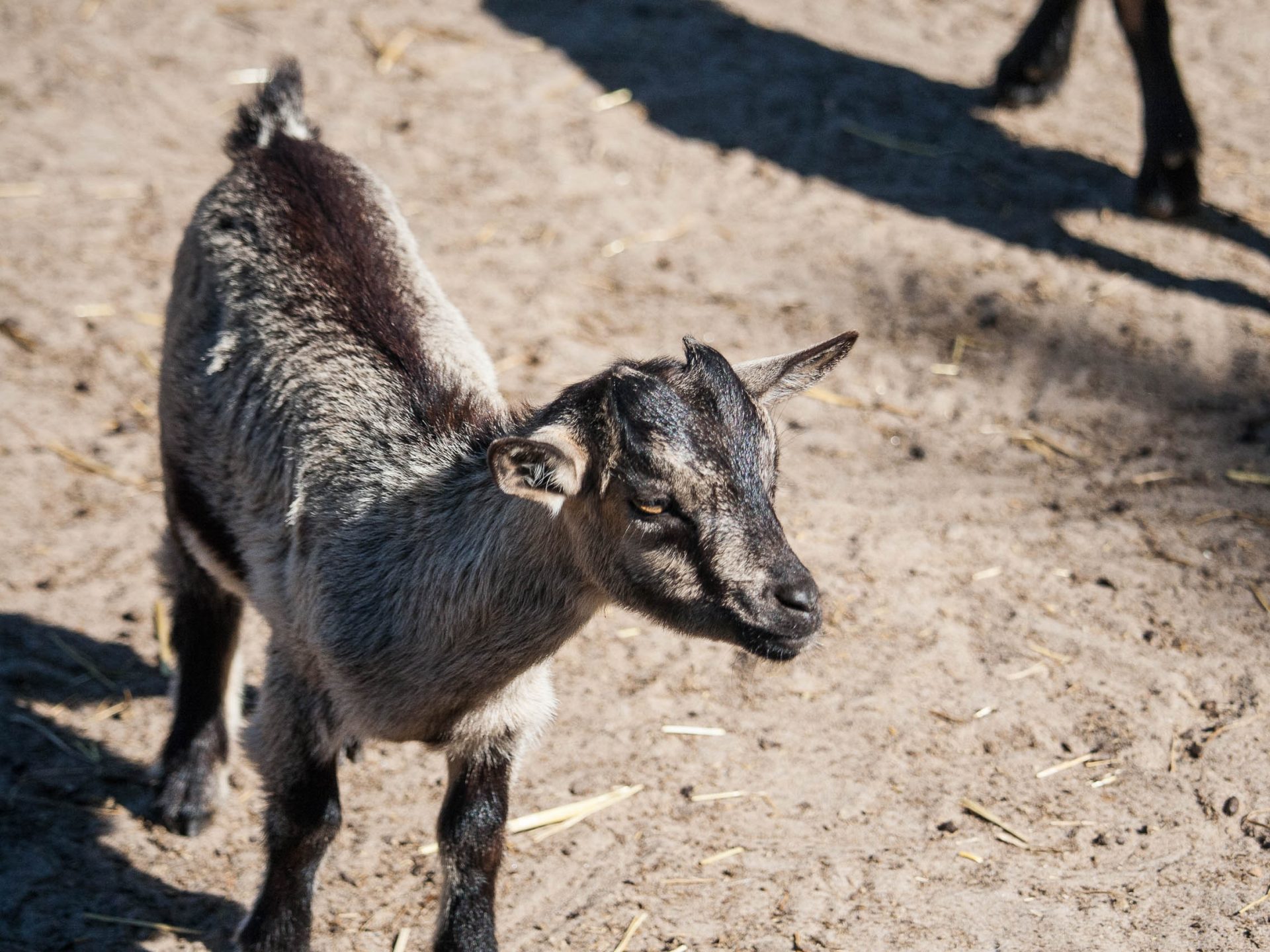 activites-landes-pays-basque