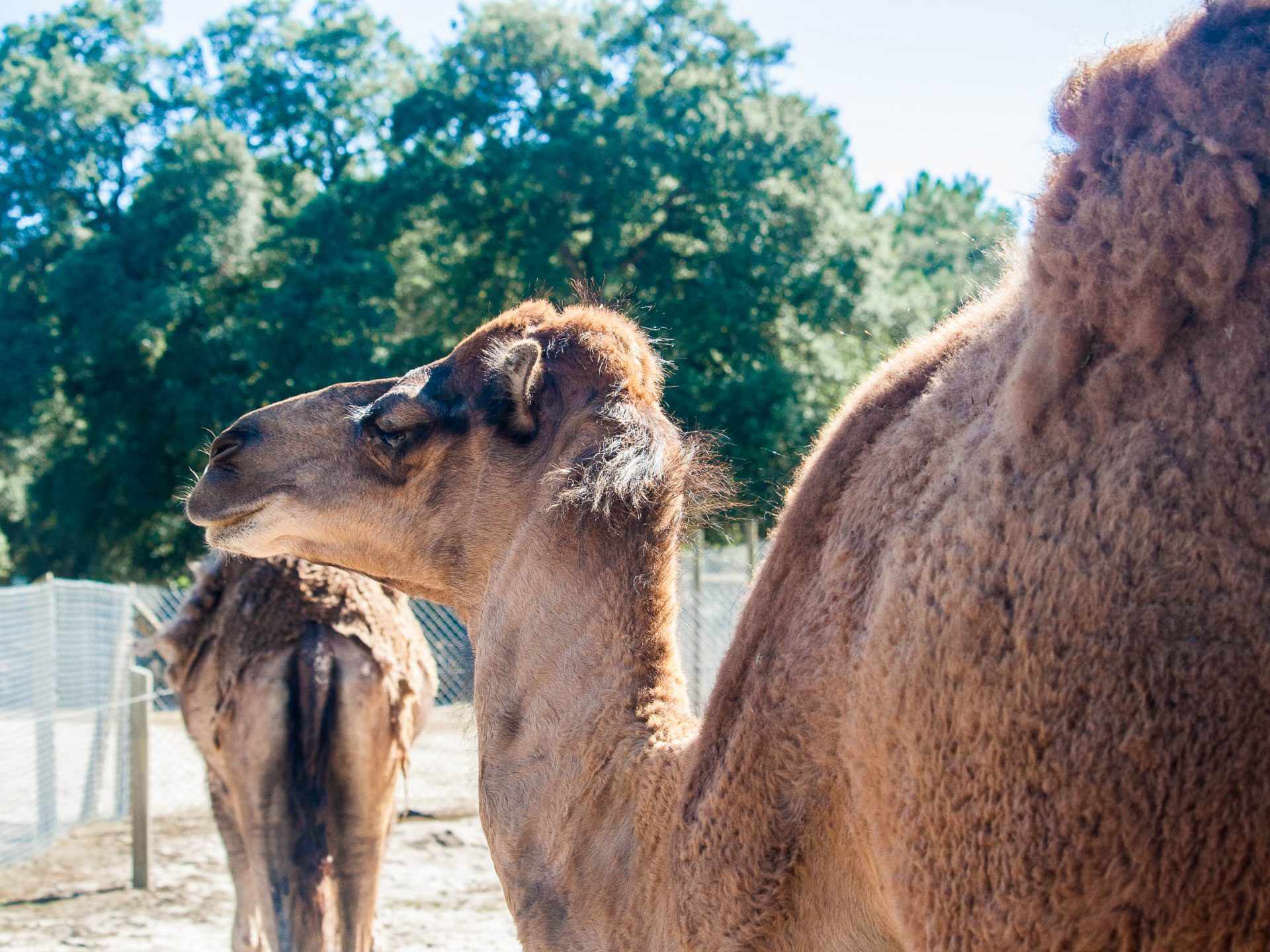 activites-landes-pays-basque