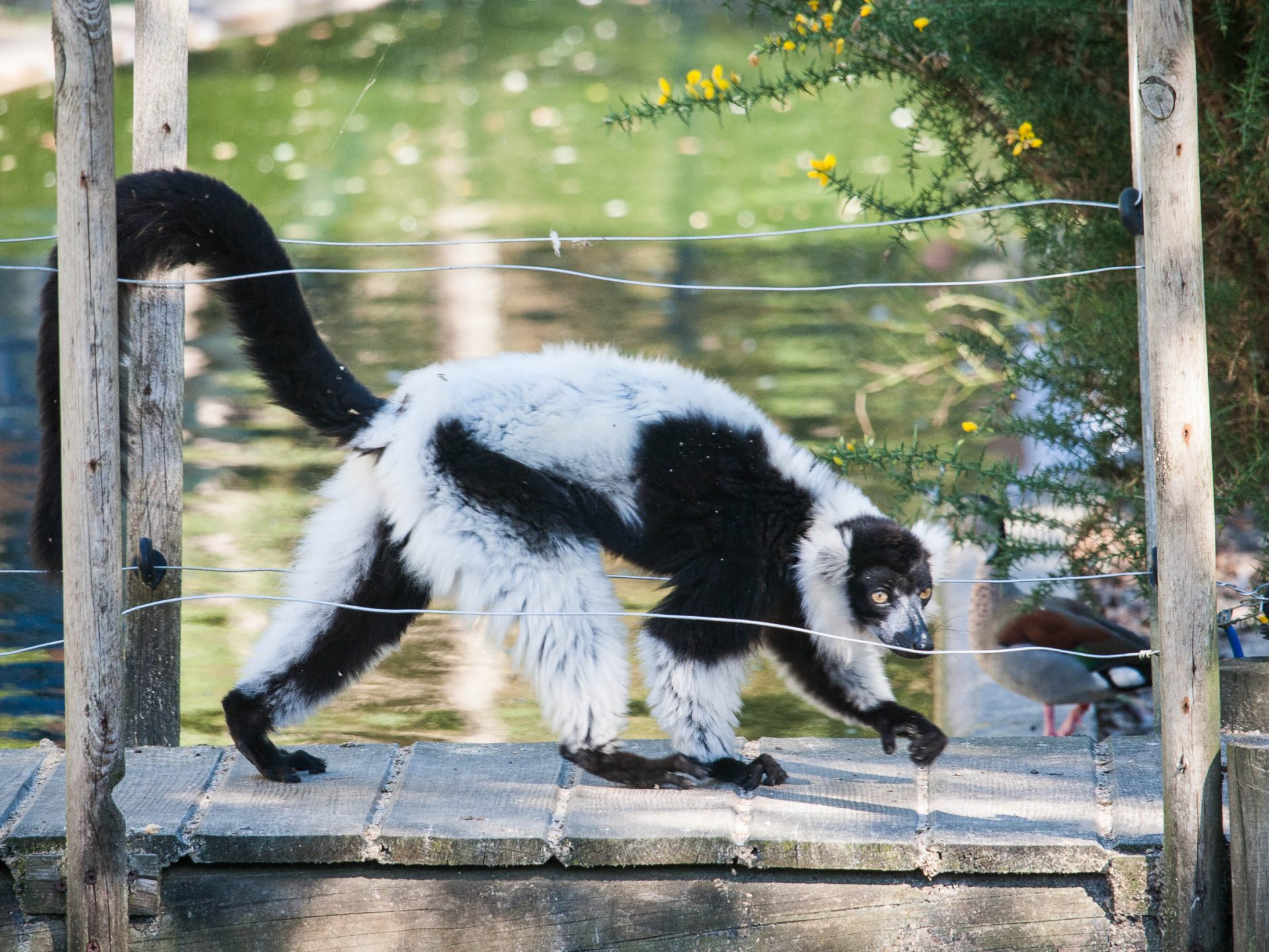 activites-landes-pays-basque