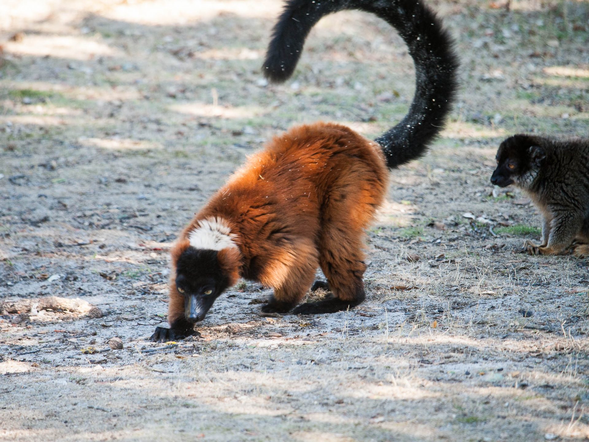 activites-landes-pays-basque