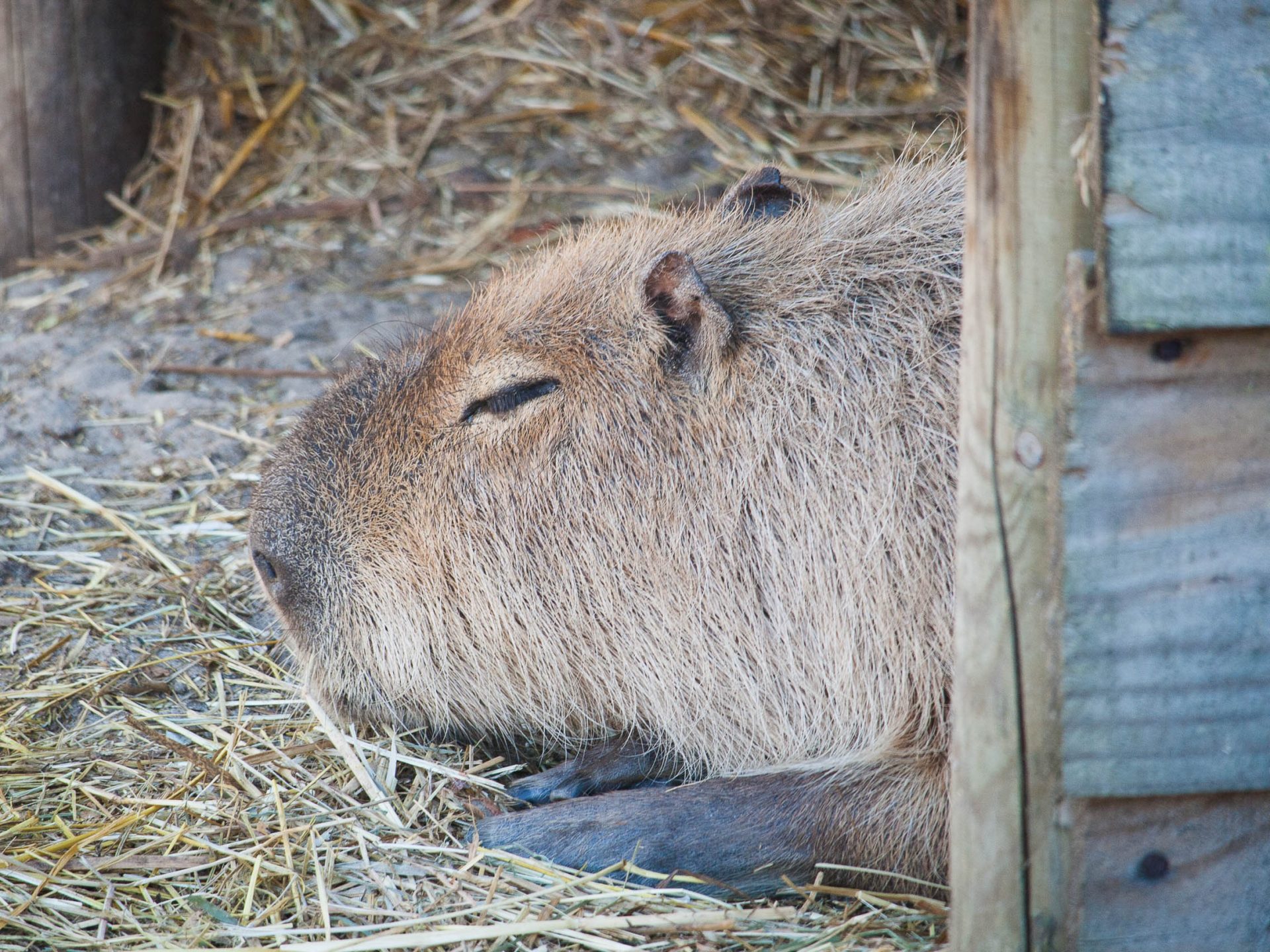 activites-landes-pays-basque