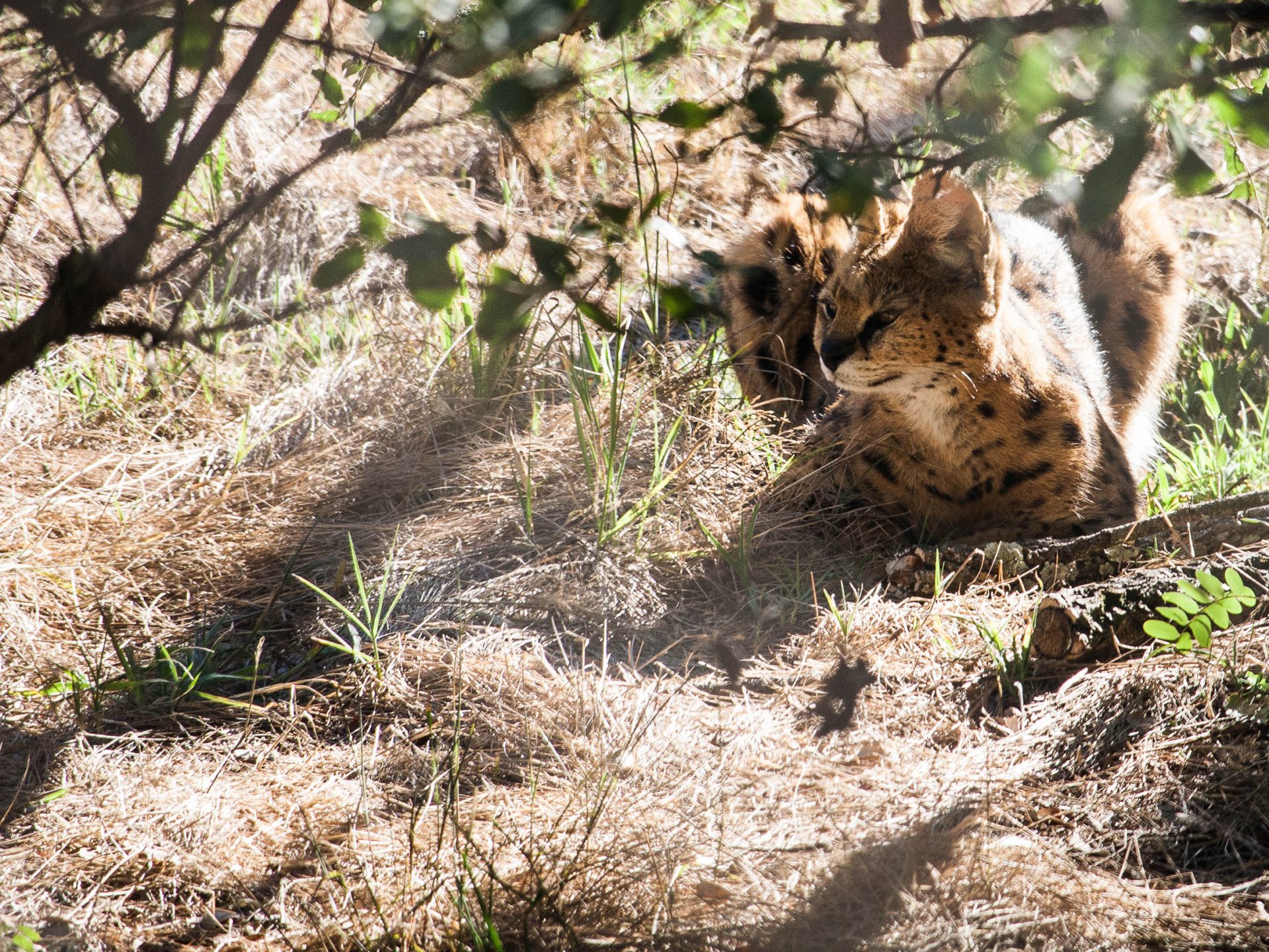activites-landes-pays-basque