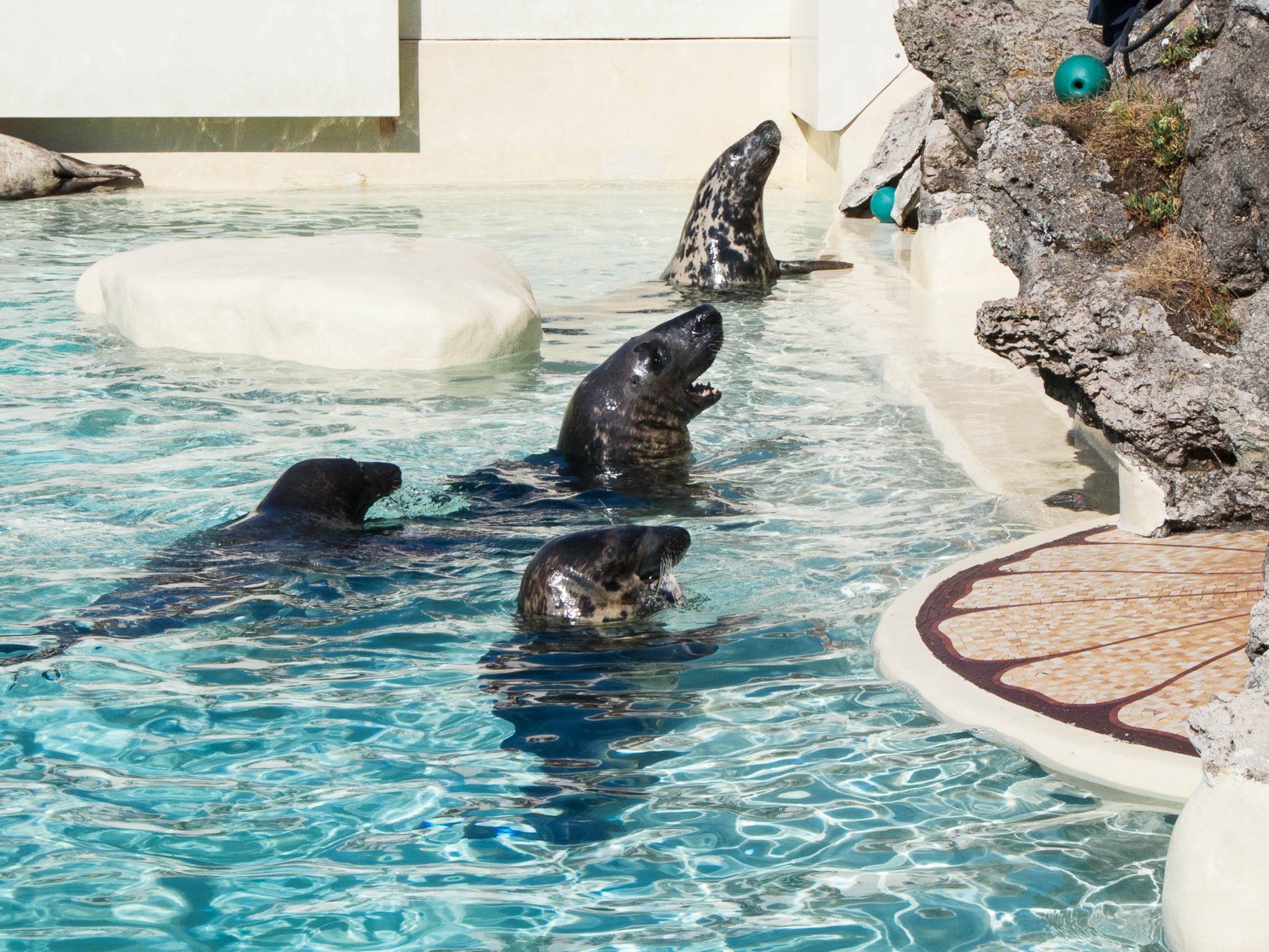 activites-landes-pays-basque