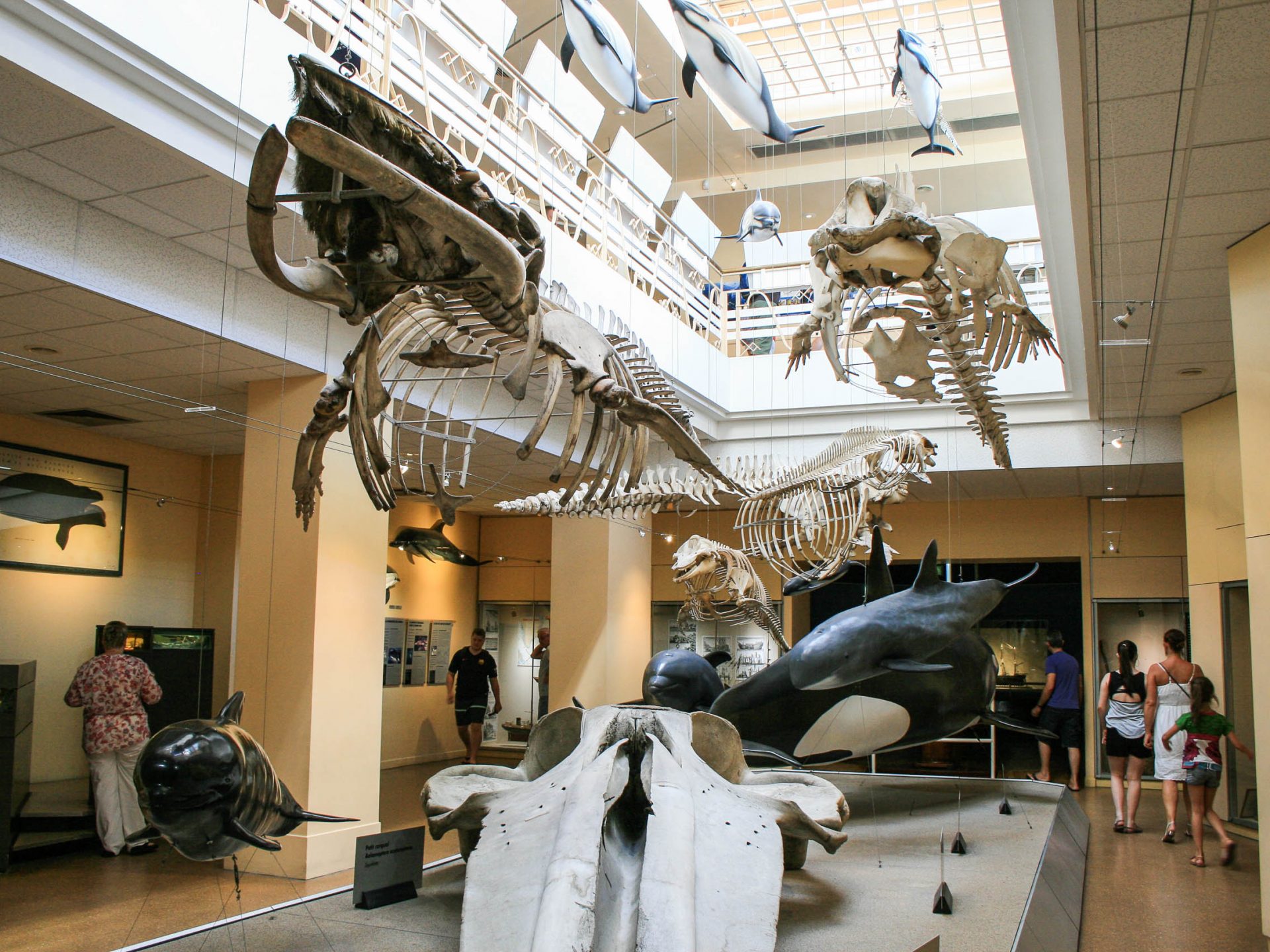 activites-landes-pays-basque