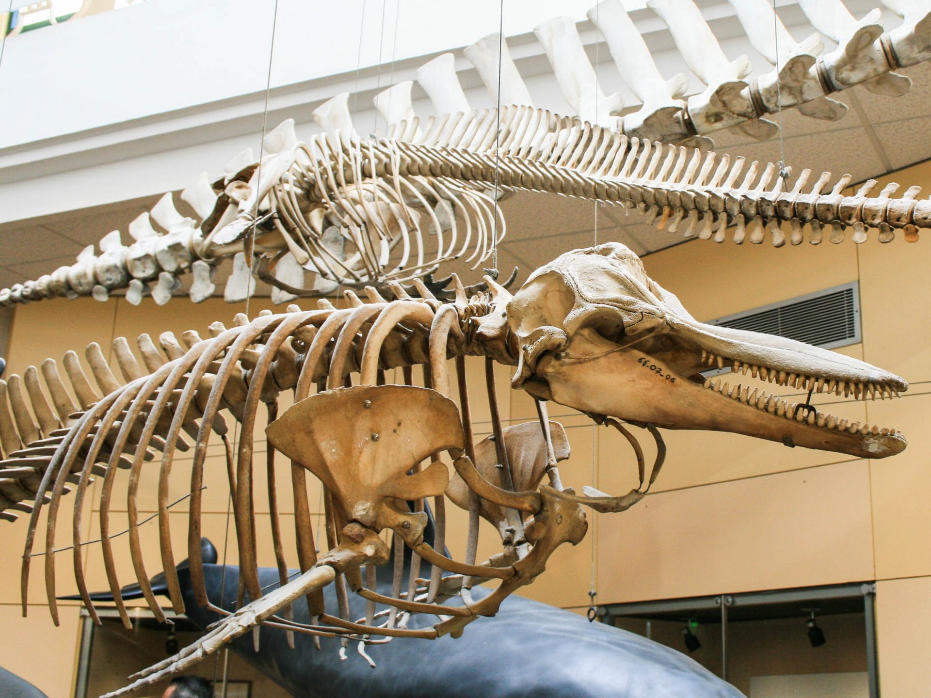 activites-landes-pays-basque