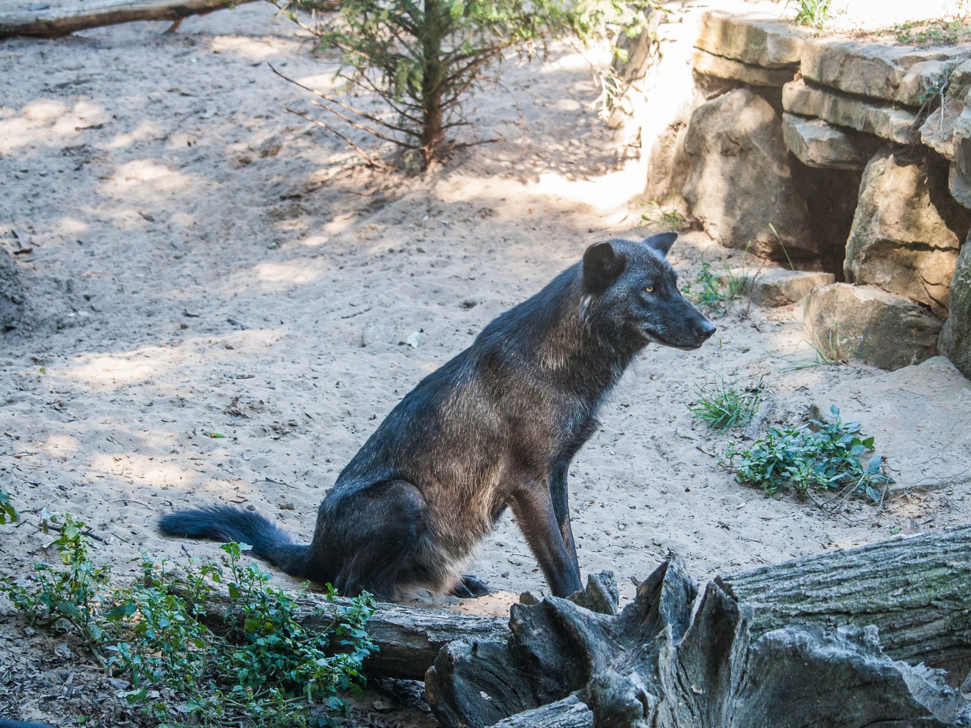 activites-landes-pays-basque
