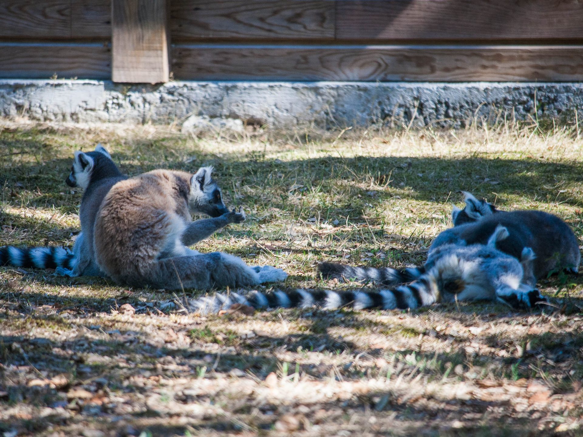 activites-landes-pays-basque