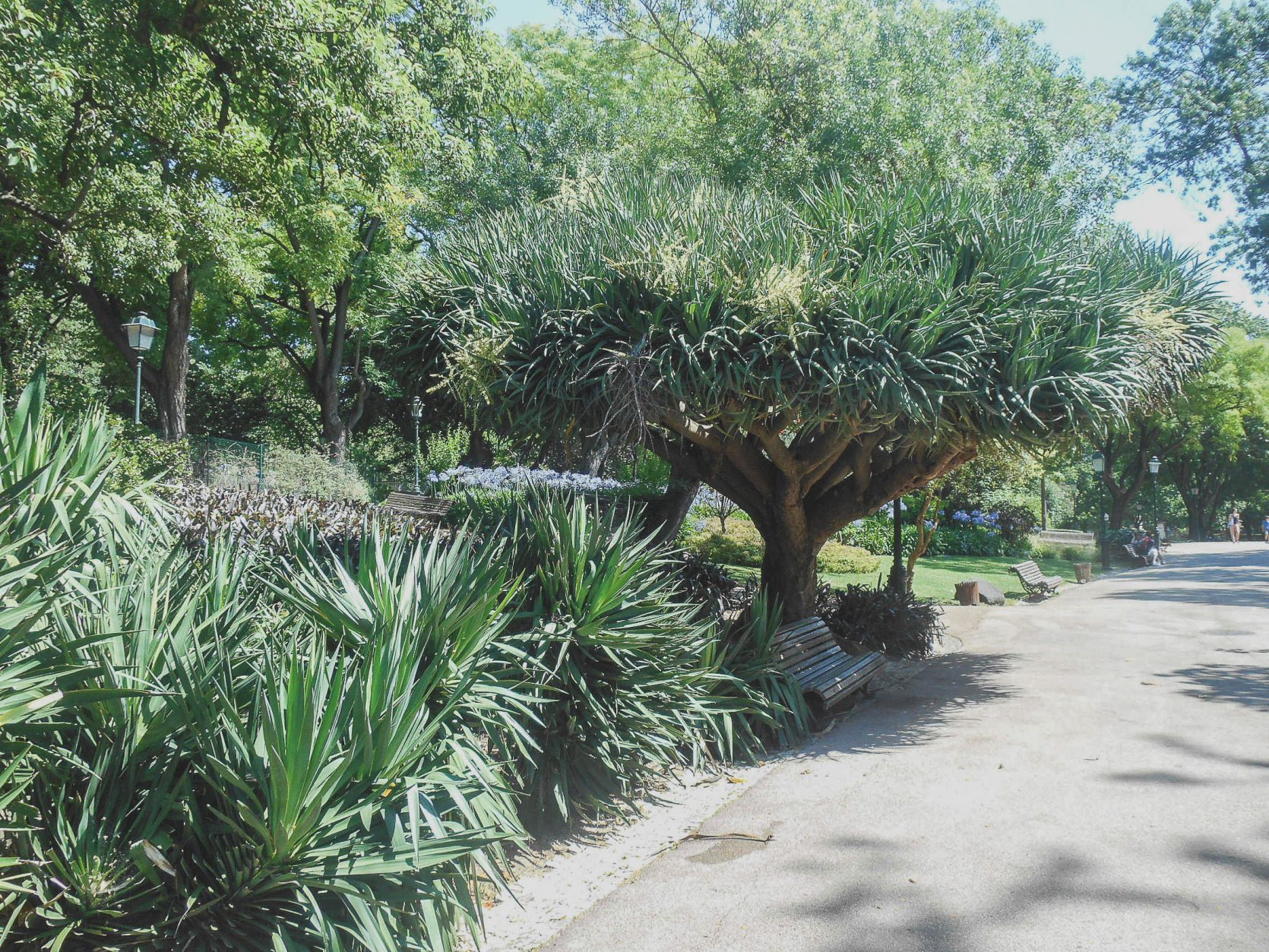 incontournables de Lisbonne