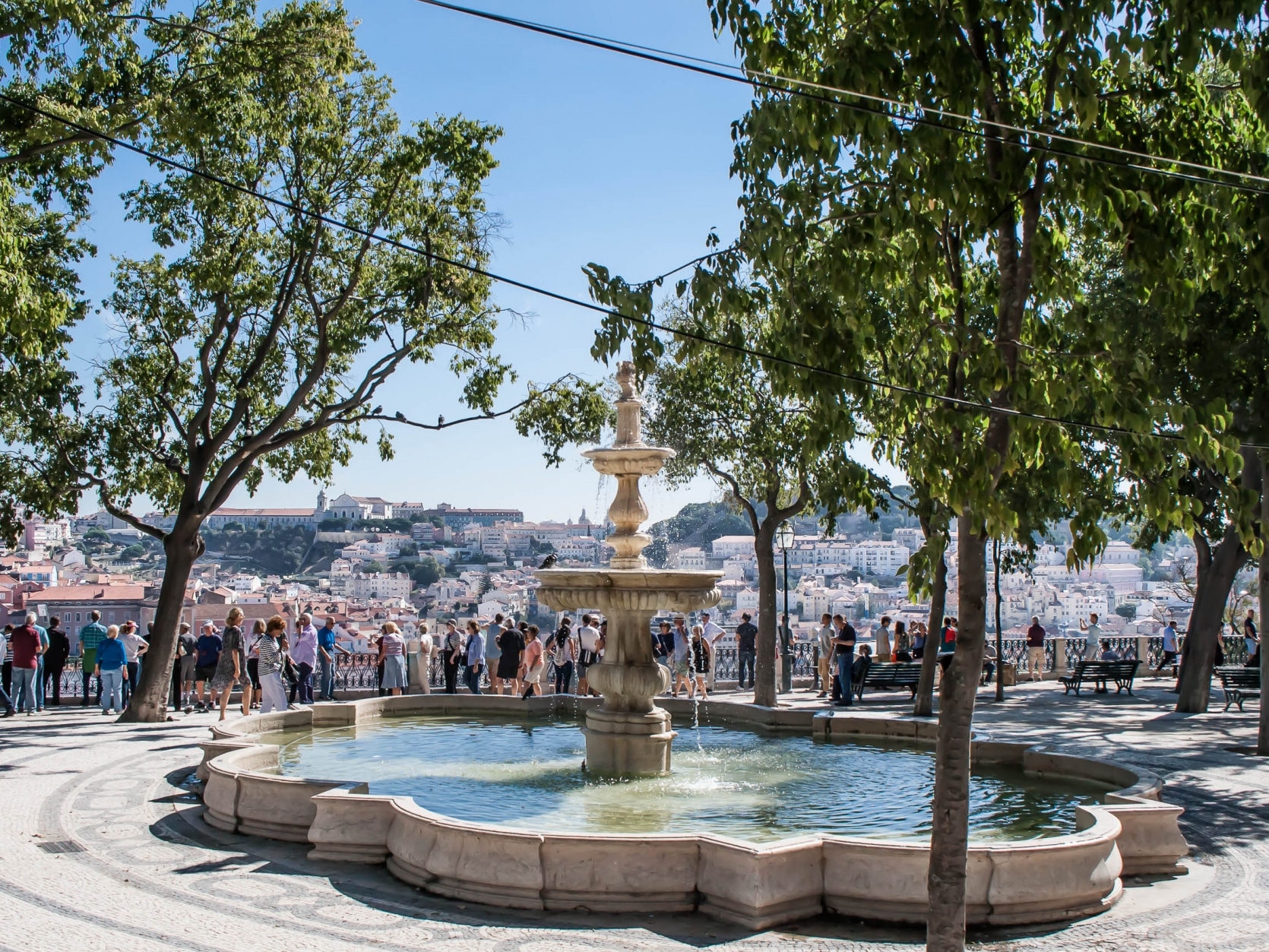 jardin botanique lisbonne