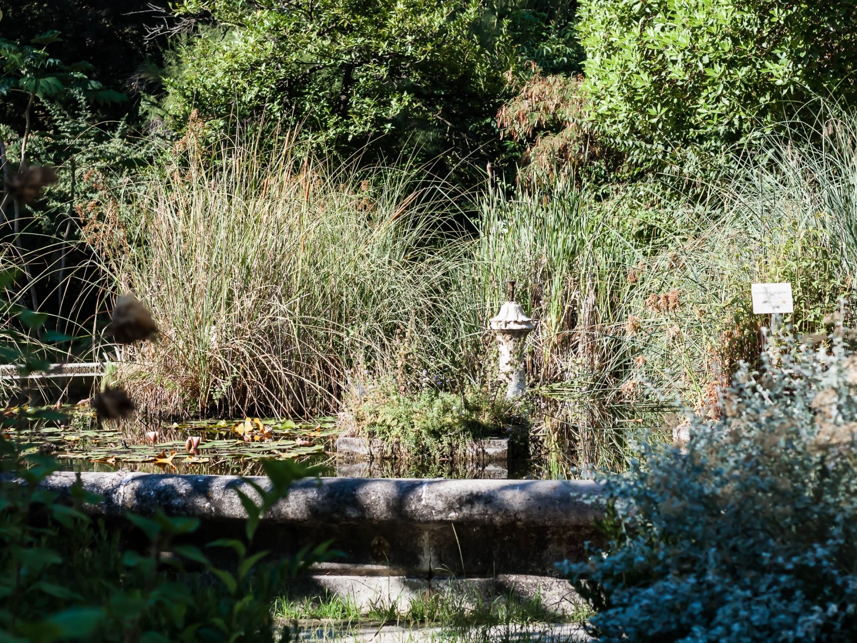 jardin botanique lisbonne