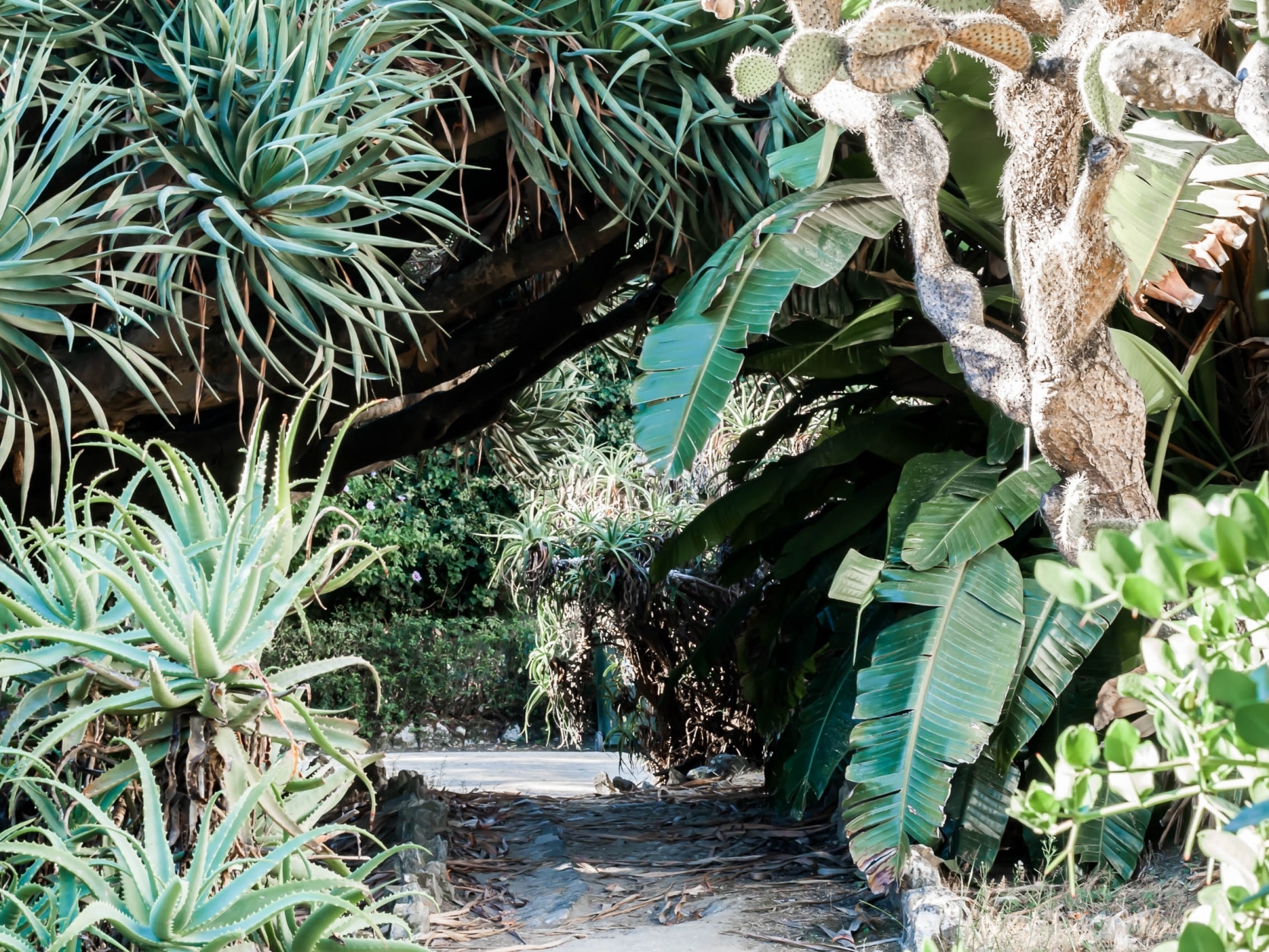 jardin botanique lisbonne