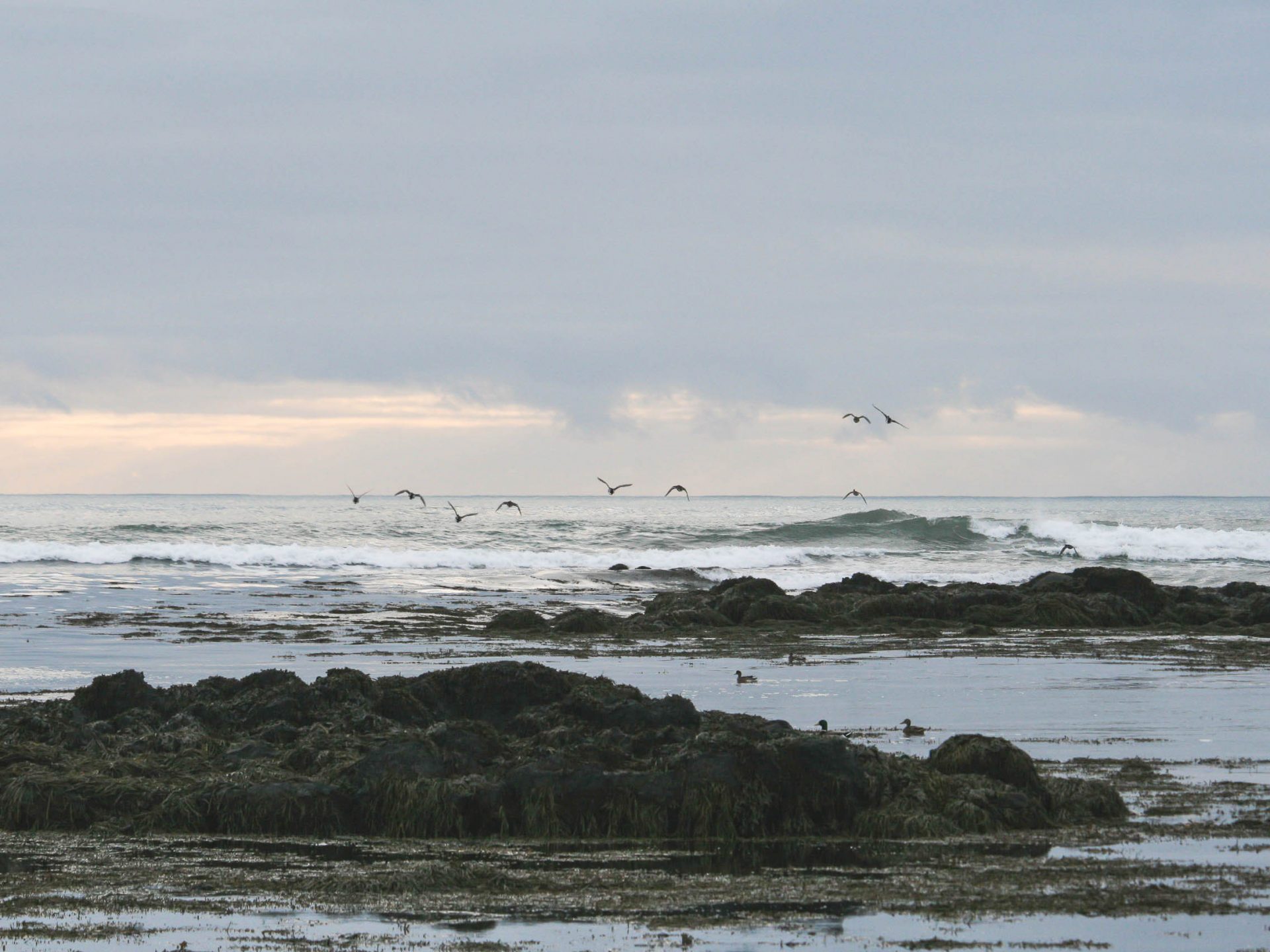 peninsule snaefellsnes