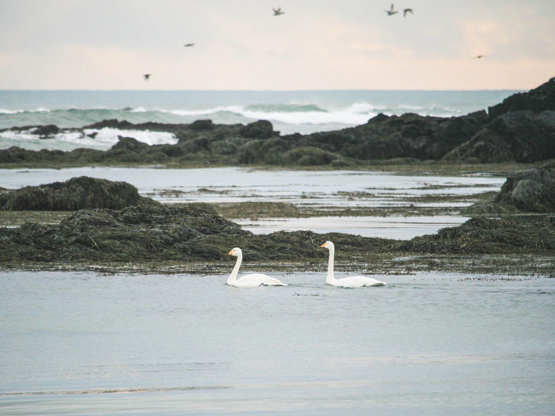 peninsule snaefellsnes