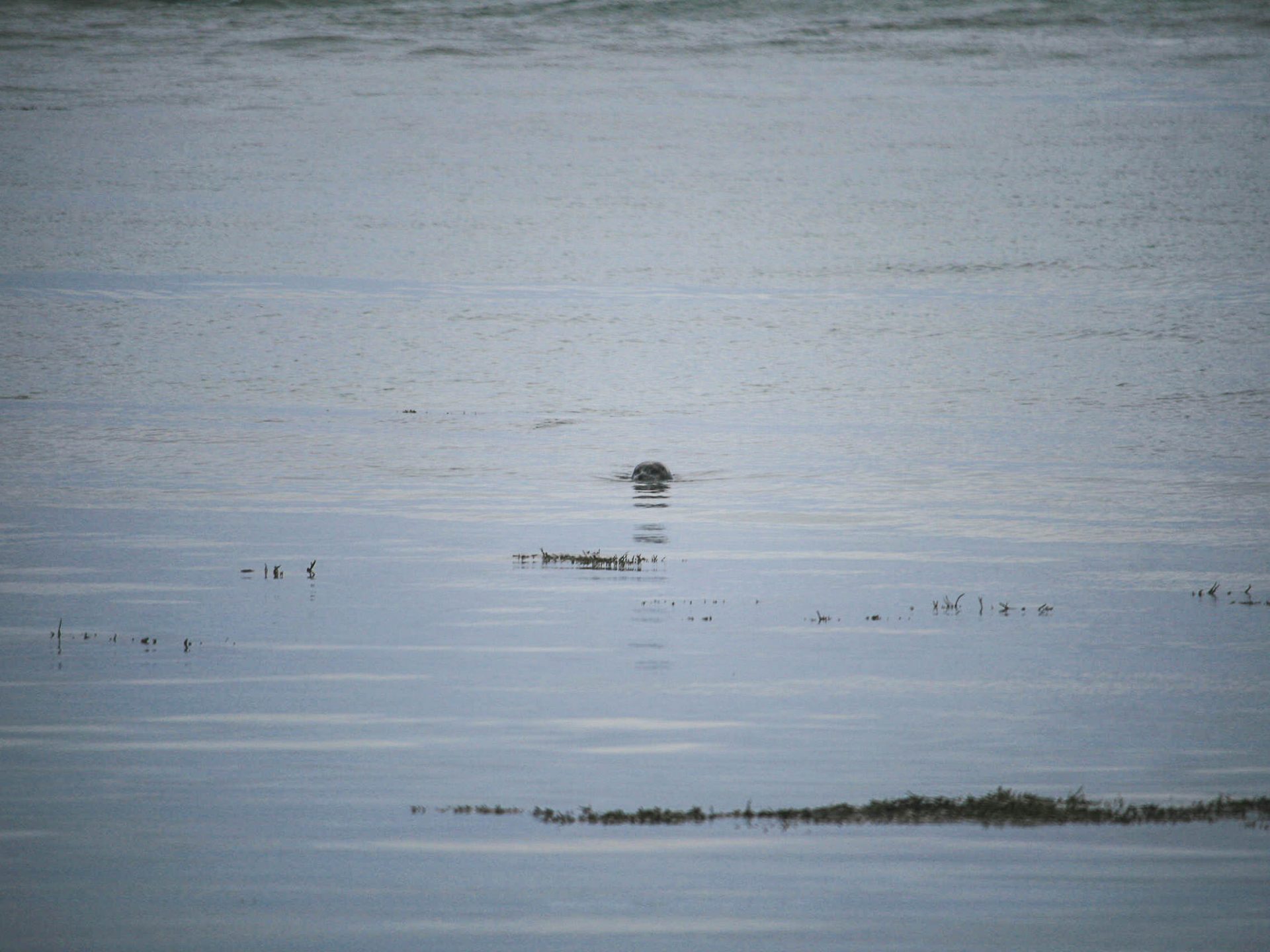 peninsule snaefellsnes