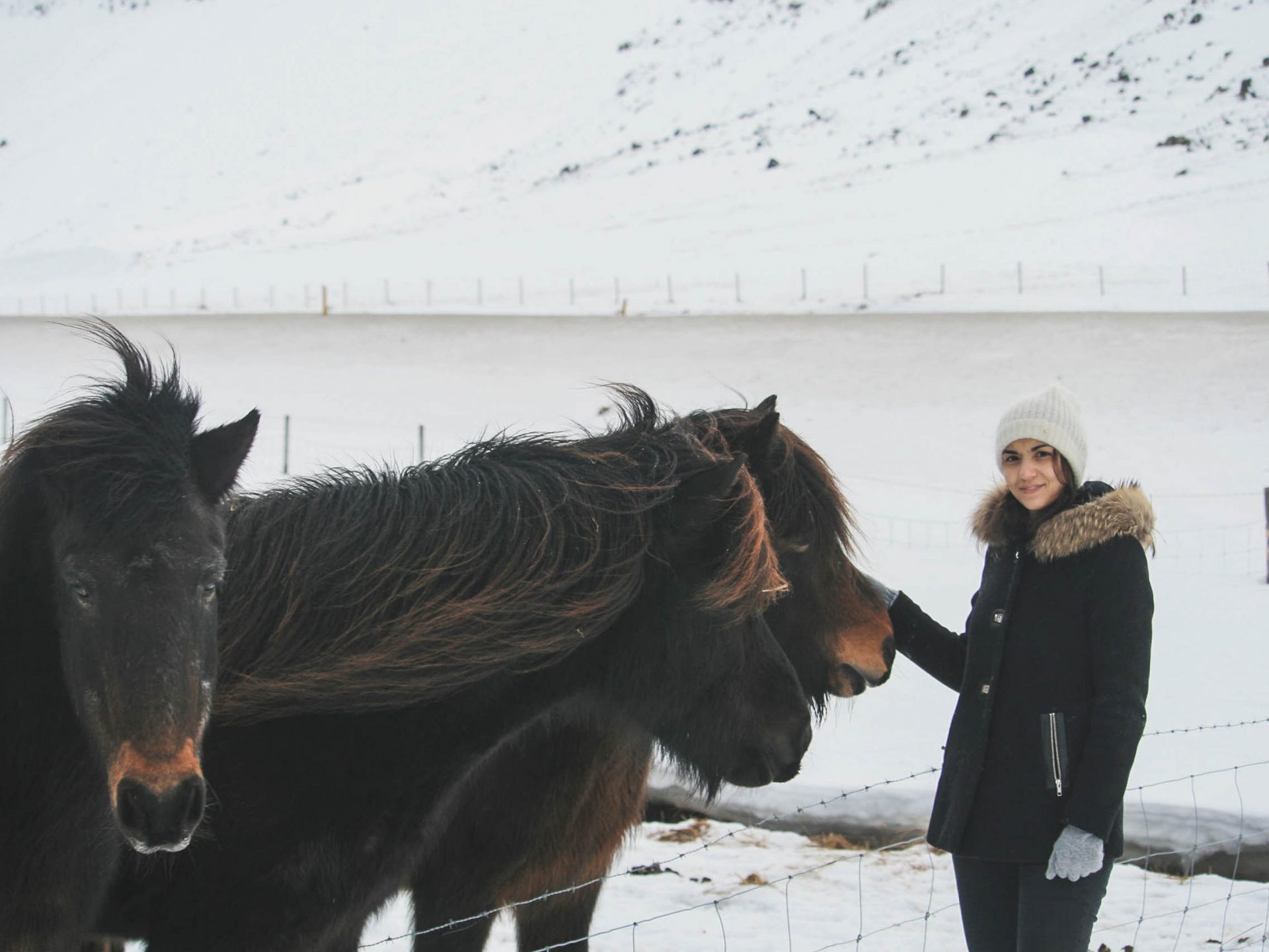 peninsule snaefellsnes