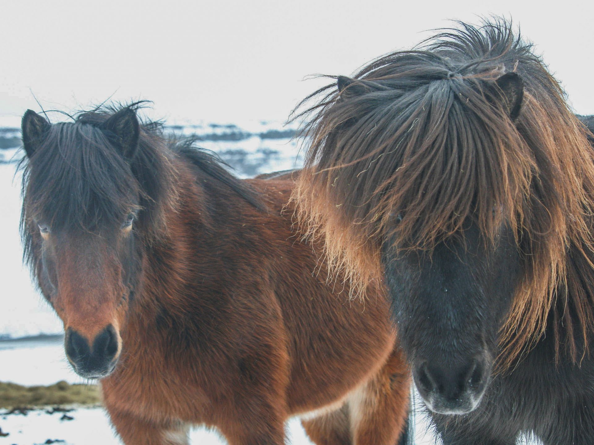 peninsule snaefellsnes