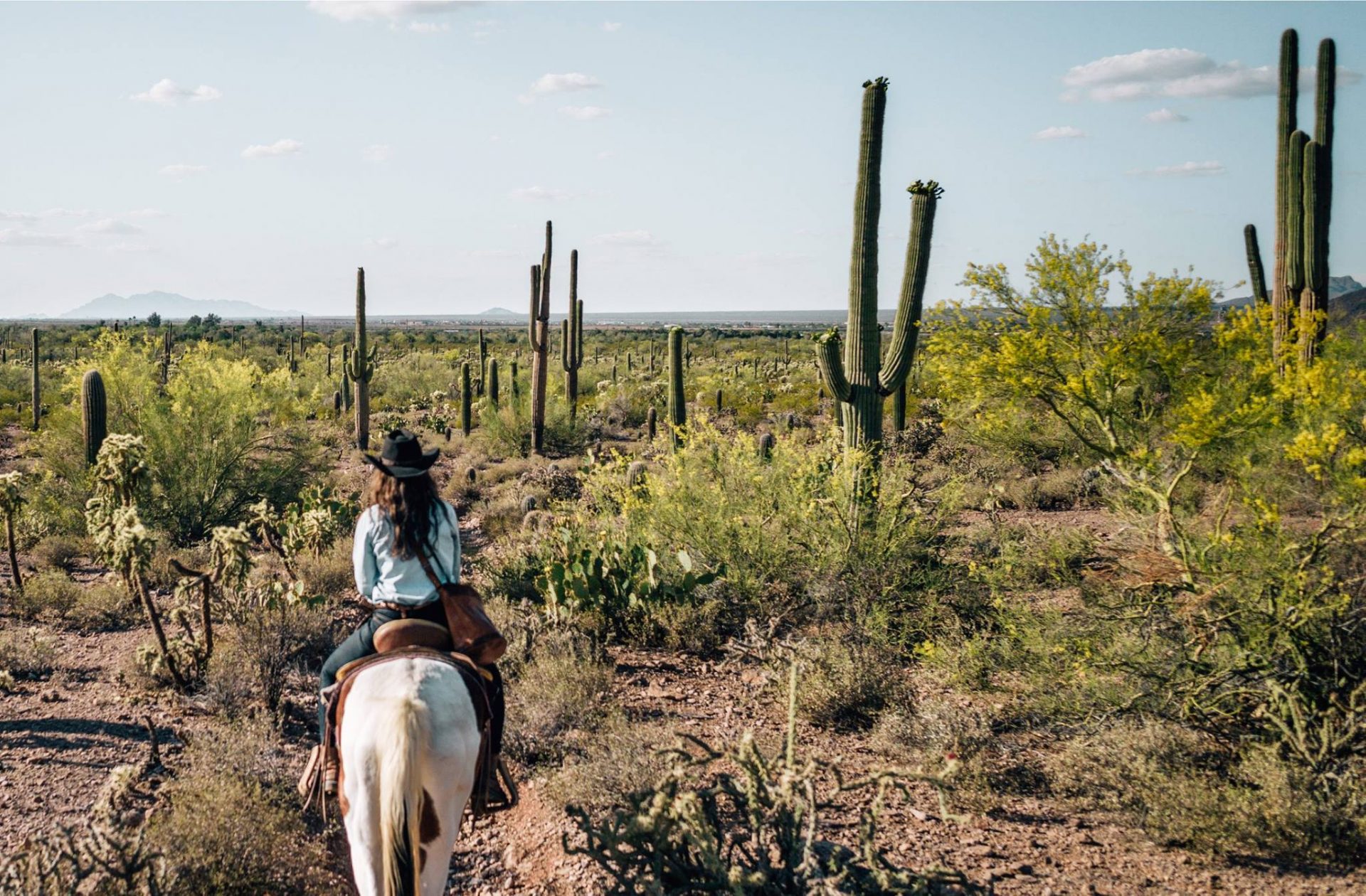 Carnets de Traverse - Road-trip en Arizona