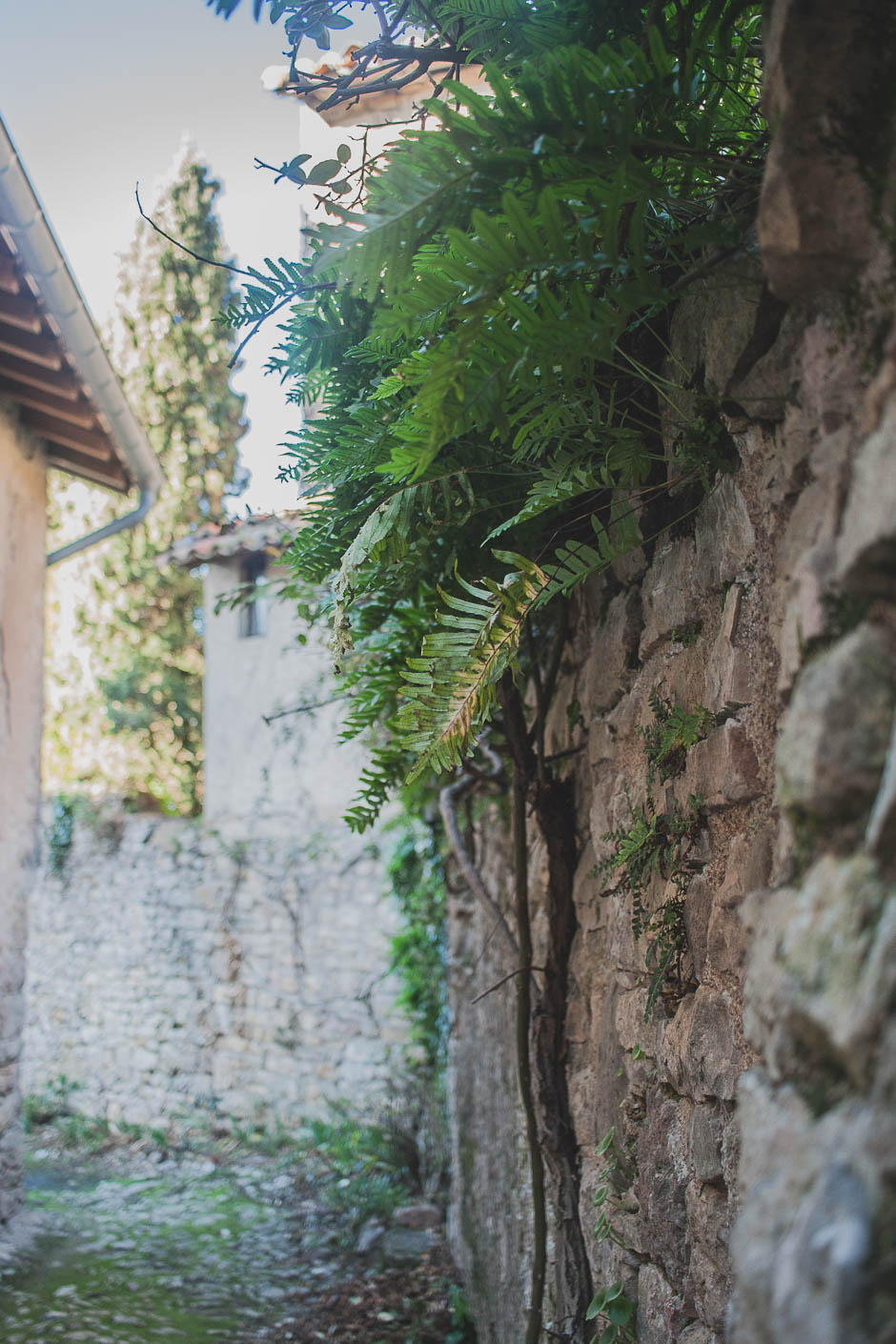 puycelsi beau village france tarn