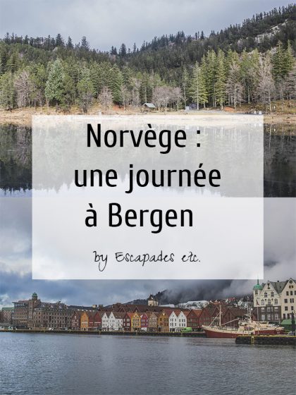 norvege journee bergen