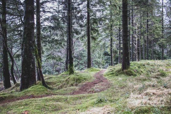 norvege visite bergen