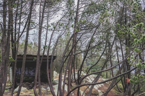 norvege visite bergen