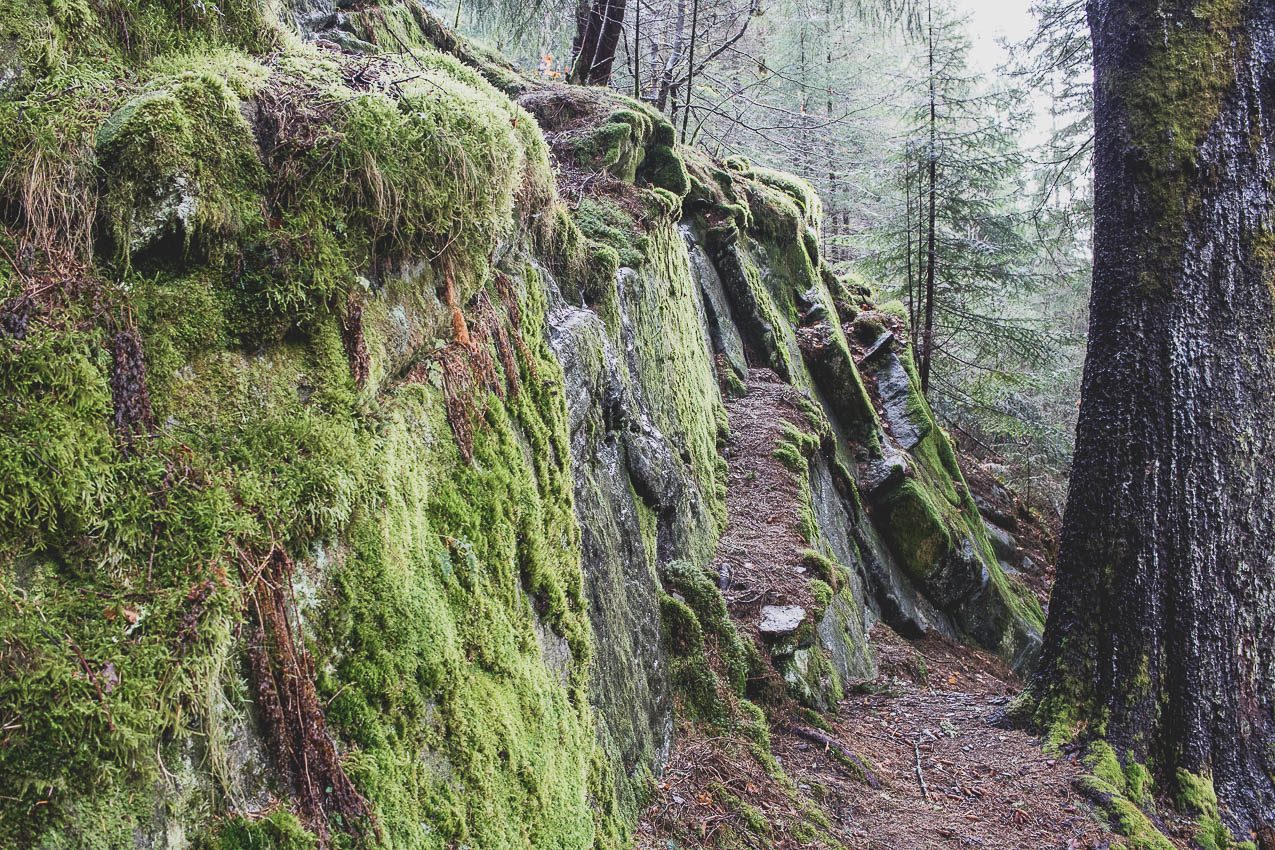 norvege visite bergen