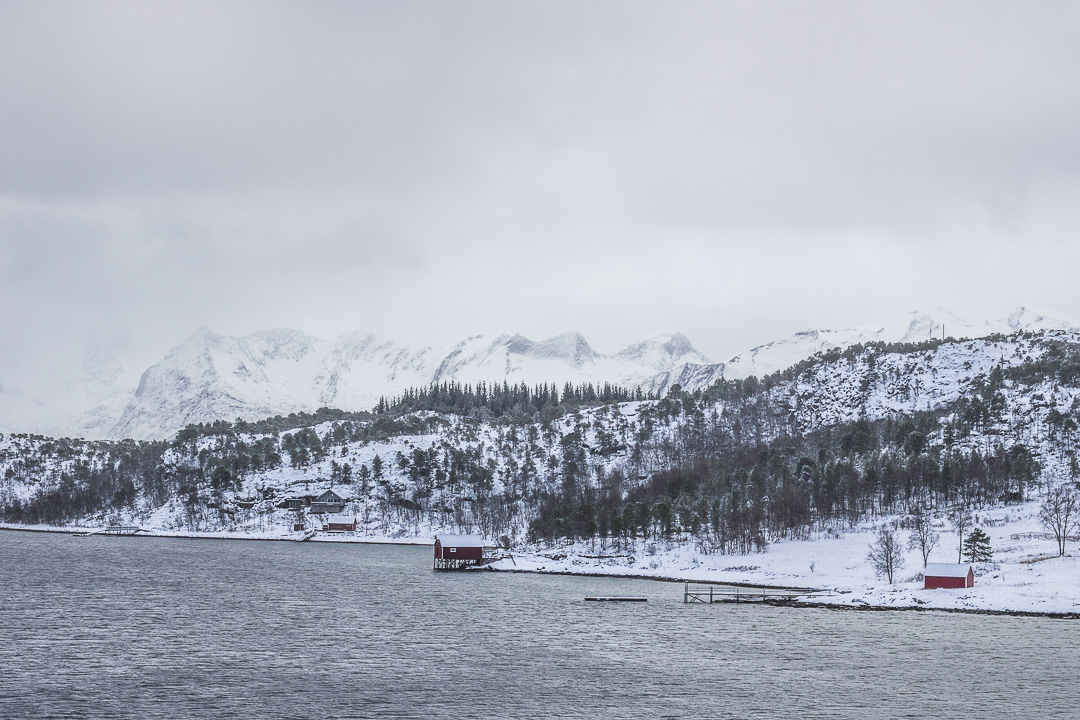 cercle polaire norvege hurtigruten bodo