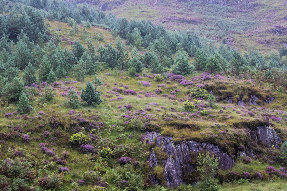 roadtrip ecosse highlands trossachs glencoe glenfinnan