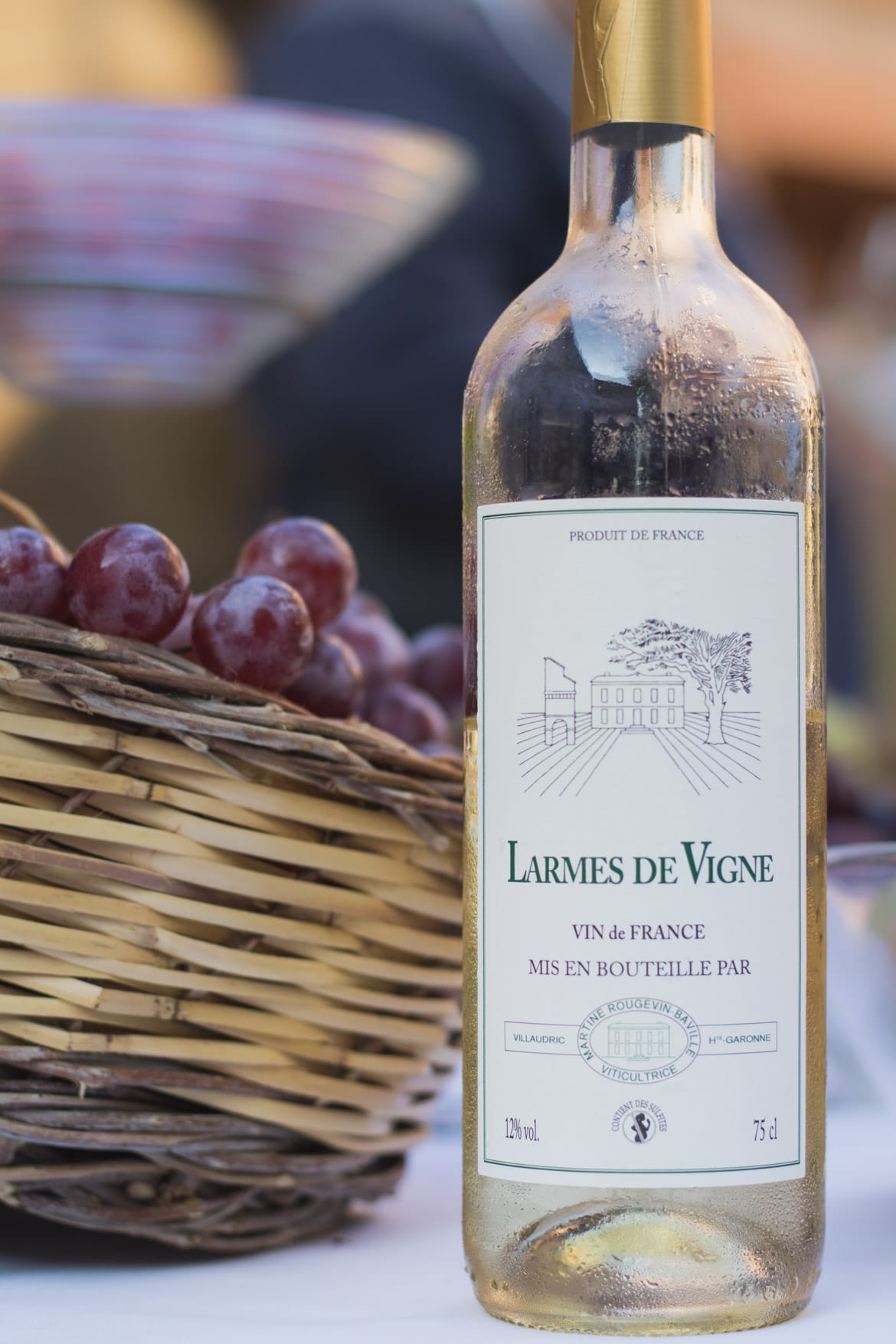decouverte route des vins Fronton Haute-Garonne