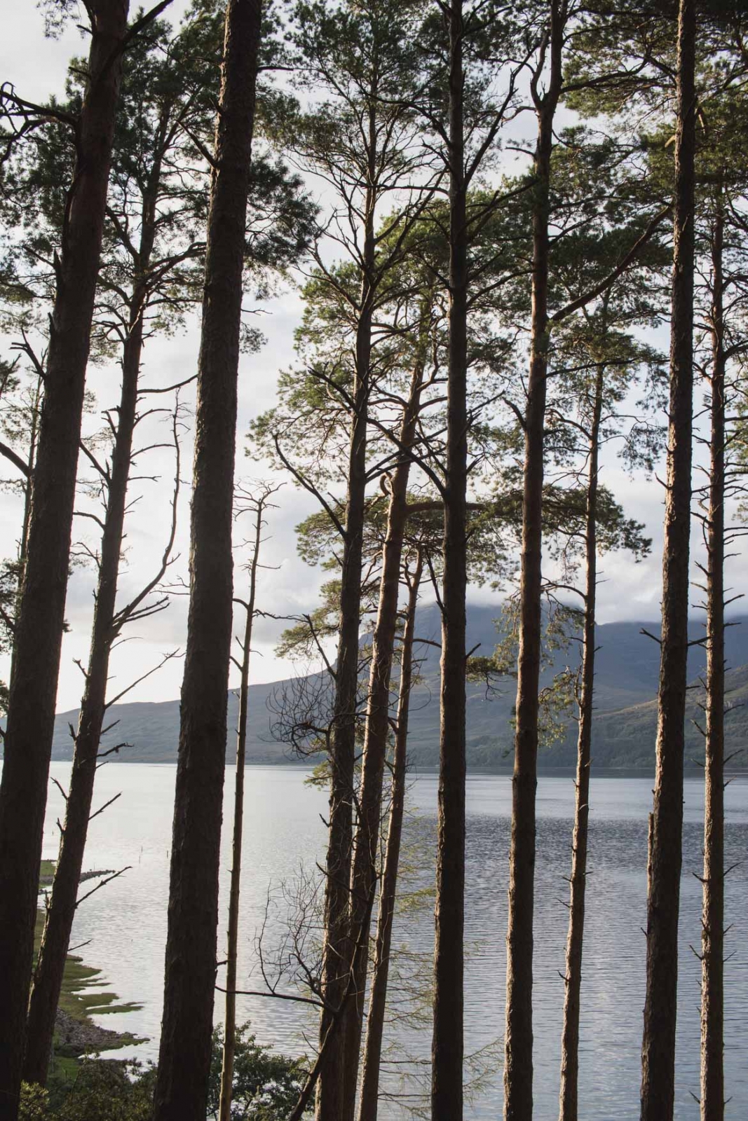 roadtrip ecosse highlands du nord