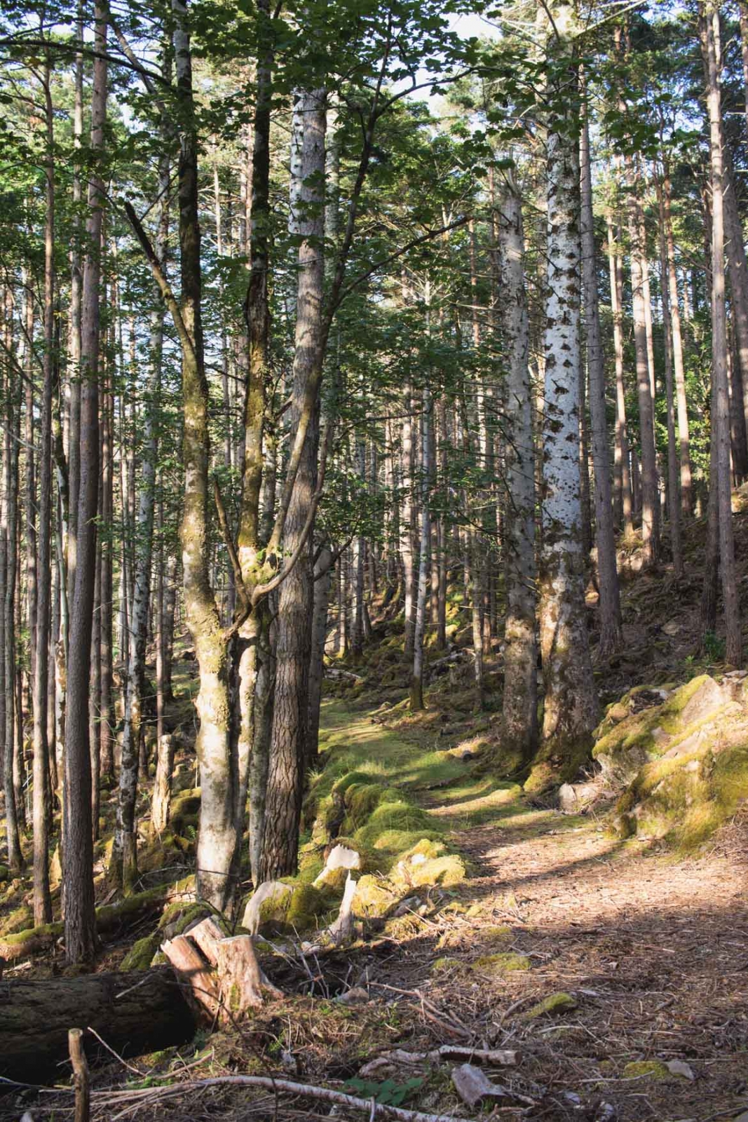 roadtrip ecosse highlands du nord