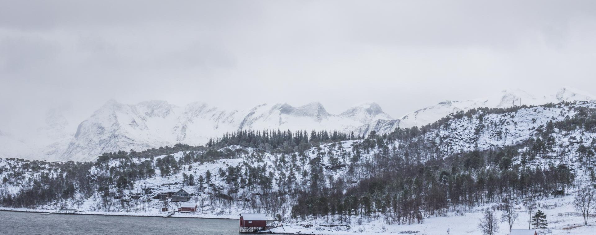 cercle polaire norvege hurtigruten bodo